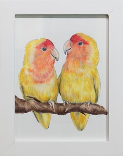 "Birds" Framed Hand-Drawn Illustration