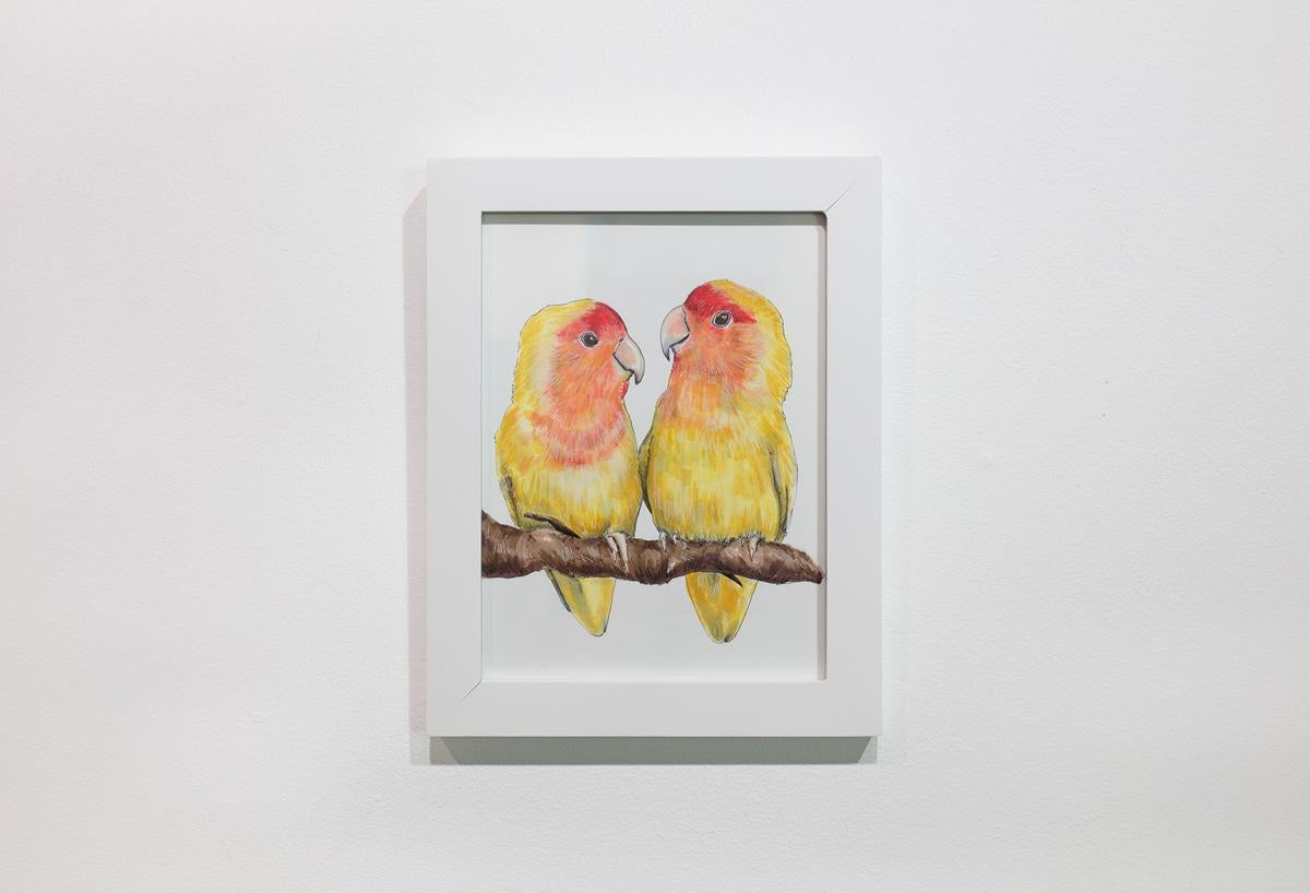 This small original hand-drawn illustration by Elizabeth Iadicicco is made with illustration marker, pen, and colored pencil on Strathmore marker paper. The drawing captures two yellow and orange parrots sitting on a branch together, on a minimalist