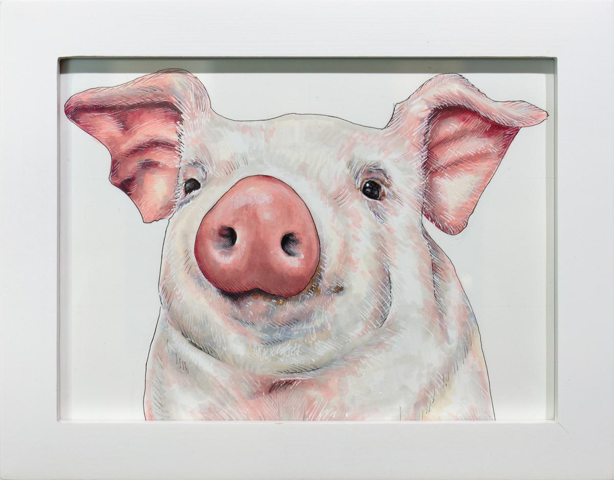 Illustration d'animaux encadrée « Pig » dessinée à la main - Art de Elizabeth Iadicicco