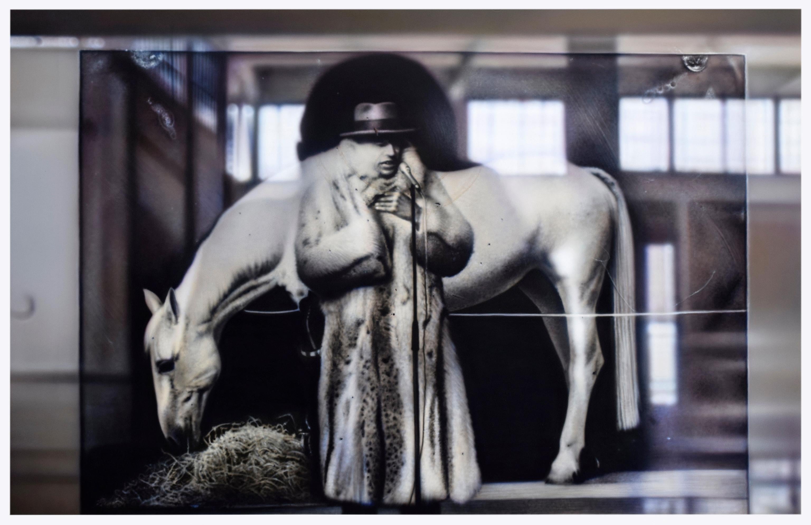 Richard Heipp Figurative Painting - REFLECTIONS ON BEUYS #6 - ARENA: WITH HORSE (DIA) - hyperrealistic painting
