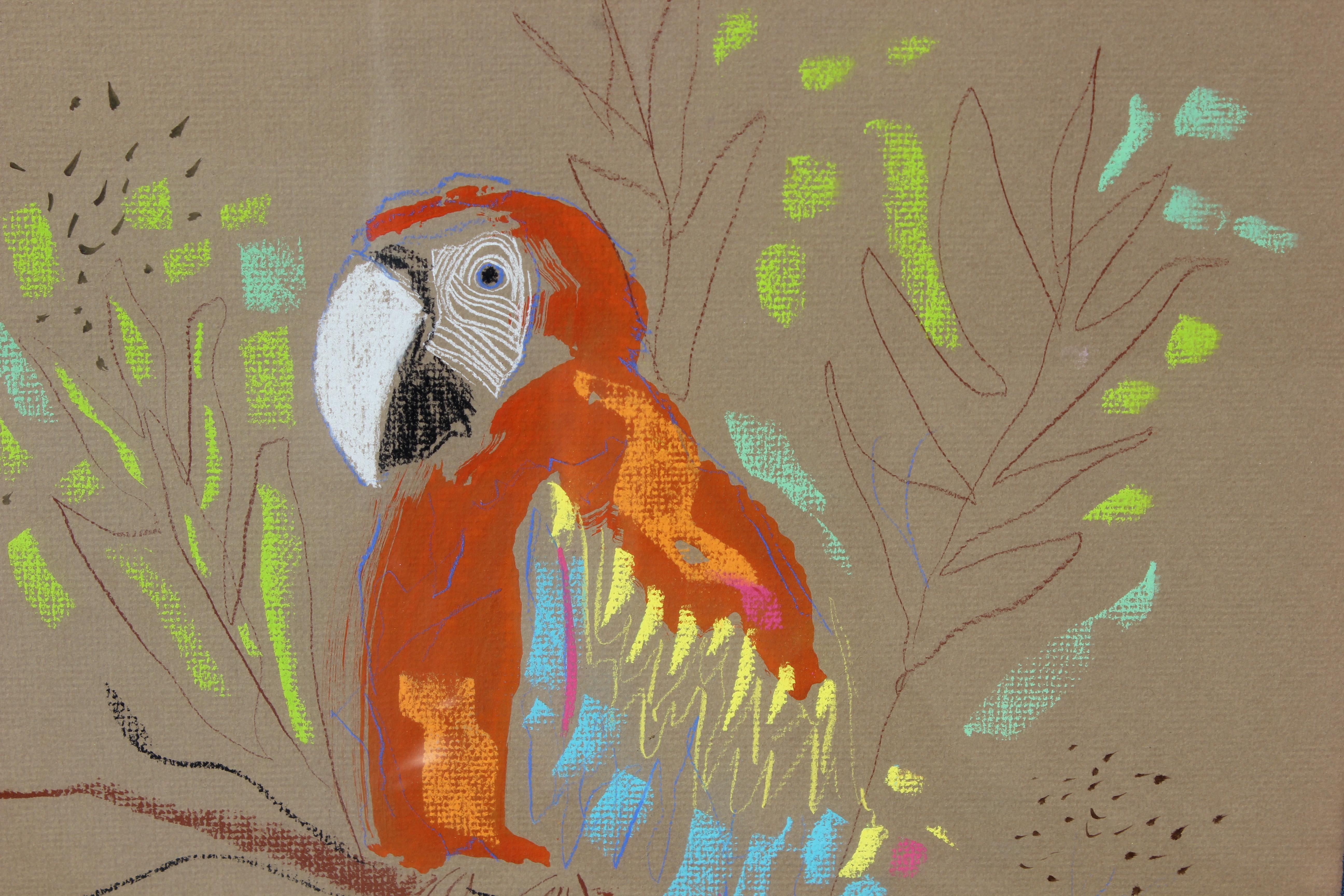 parrot pastel drawing