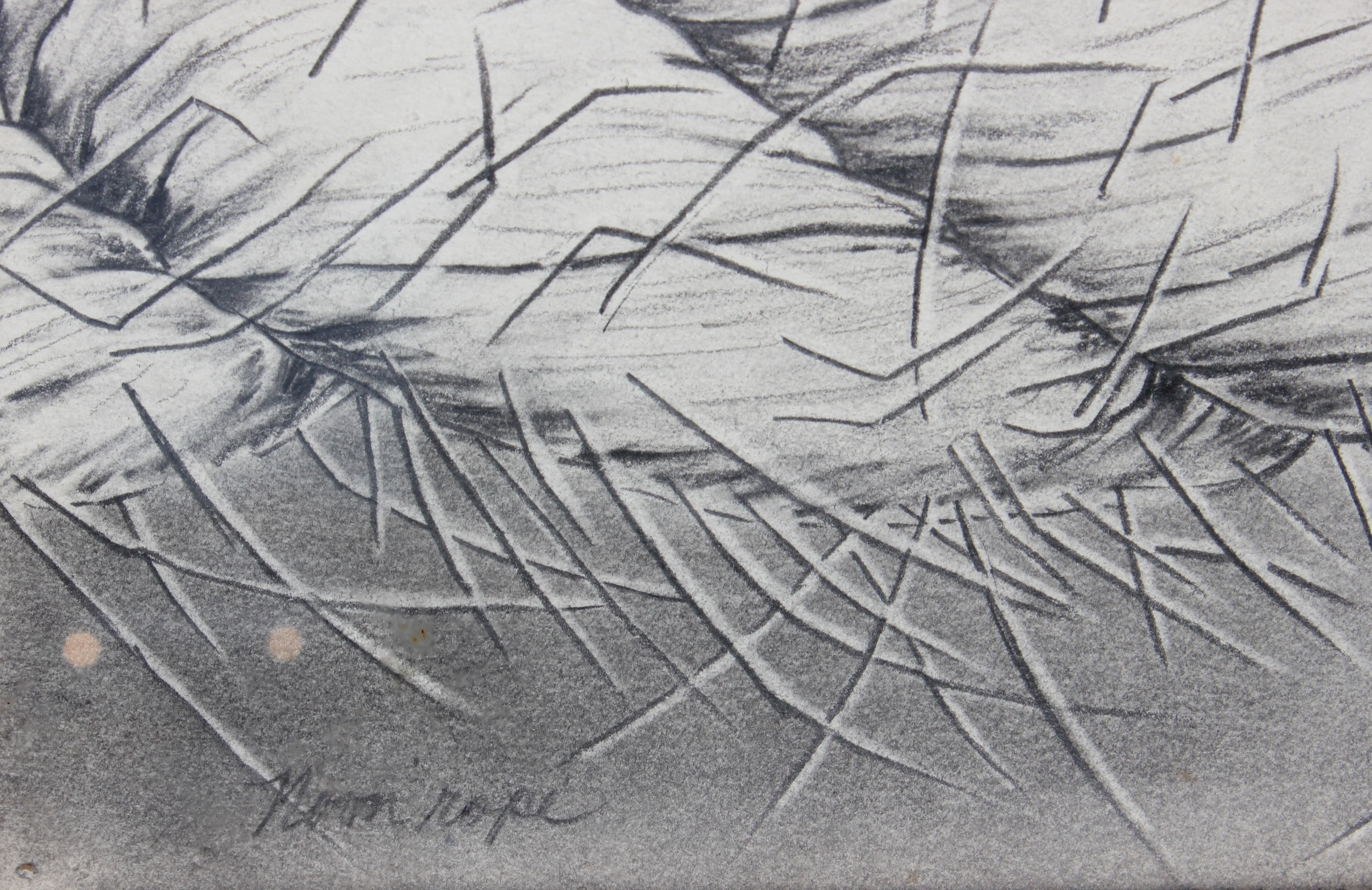 Graphite sketch of a detailed view of a rope. Titled by the artist and signed in the bottom right and left corners. Date of completion, February, 1993.
Dimensions without Frame: H 9 in. x W 11.5 in.

Artist Biography: Patricia Jane St. John Danko