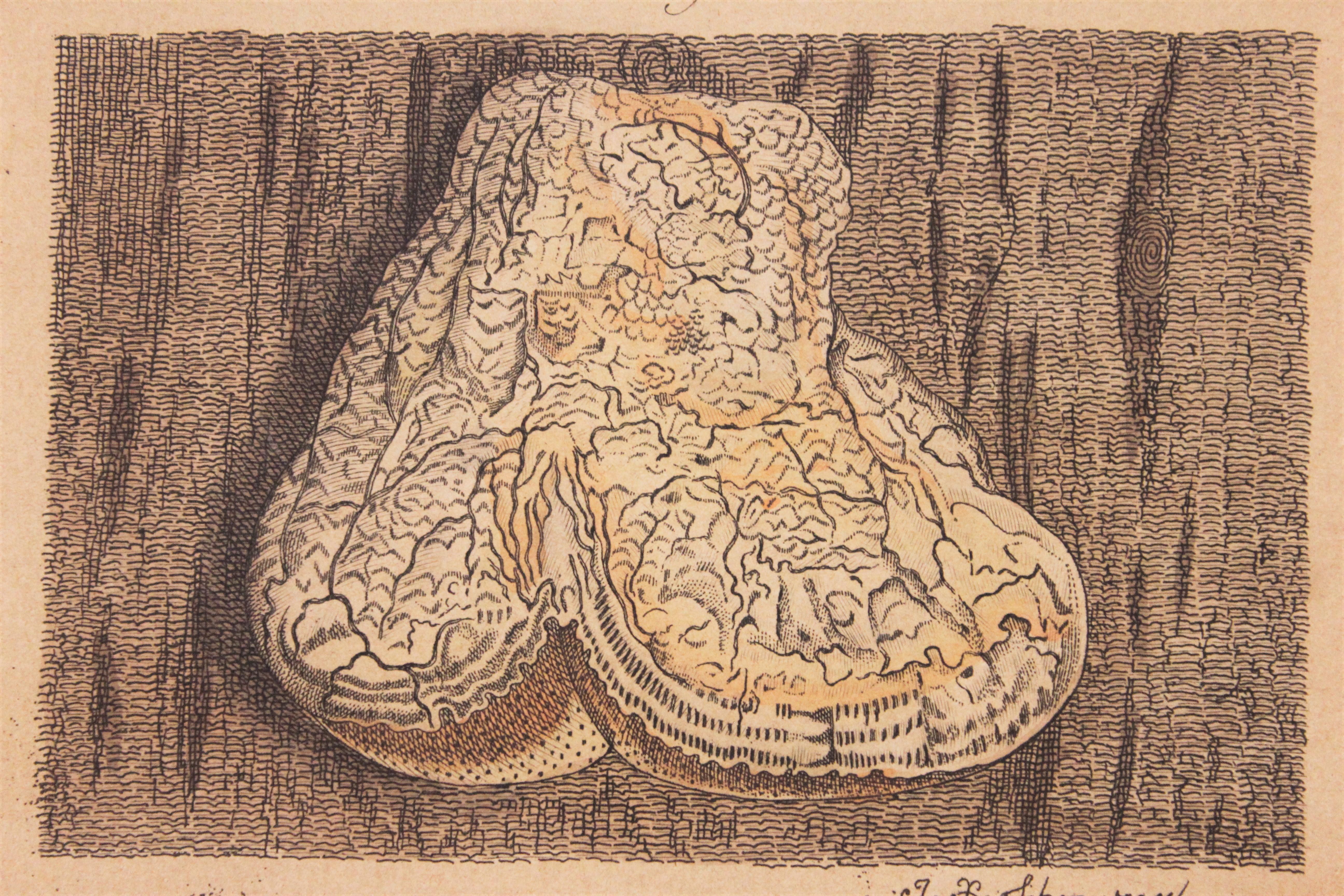 lam-Gravur auf Büttenpapier mit orangefarbenen Zinken – Print von Jacob Xaver Schmuzer