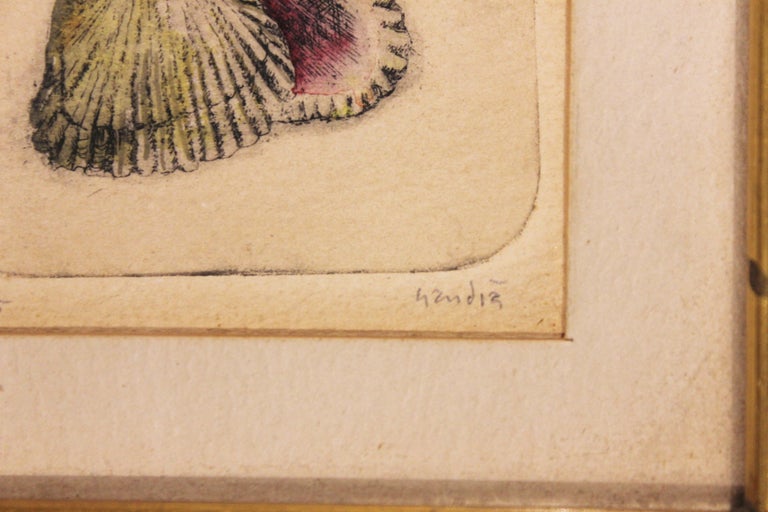 Vicente Gandia - Clam Shell Engraving Edition 23 of 85 at 1stDibs