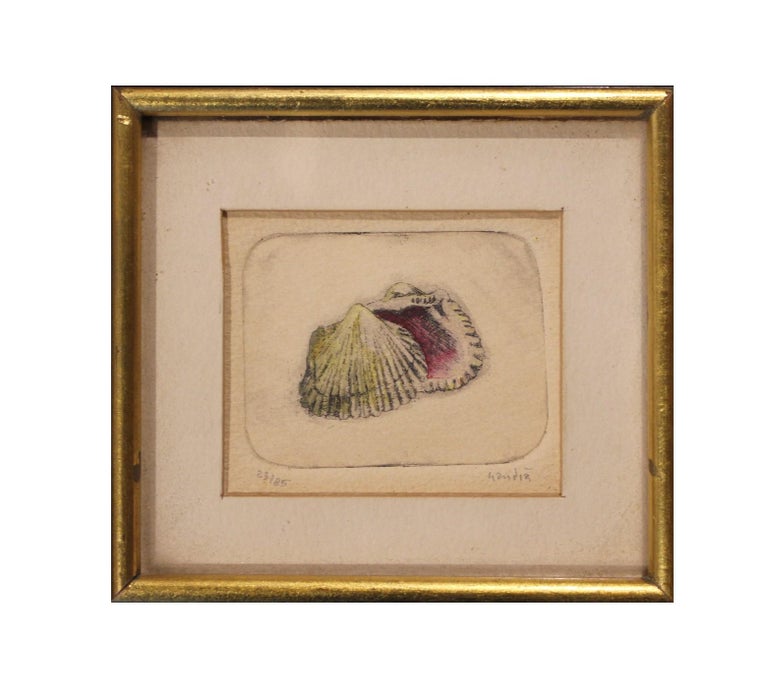 Vicente Gandia - Clam Shell Engraving Edition 23 of 85 at 1stDibs