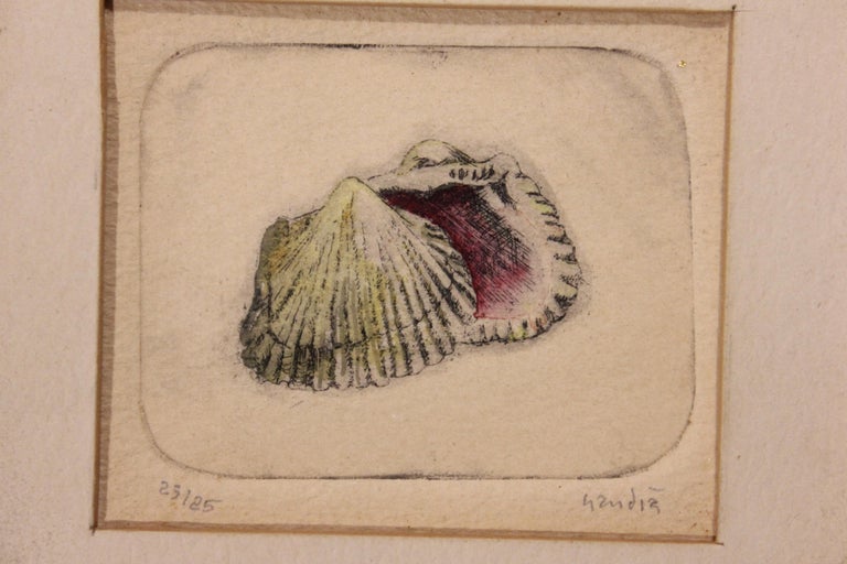 Vicente Gandia - Clam Shell Engraving Edition 23 of 85 at 1stDibs