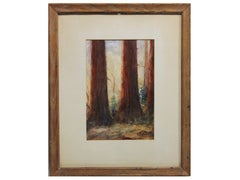 Vintage Early Watercolor Painting of Redwood Forest in California