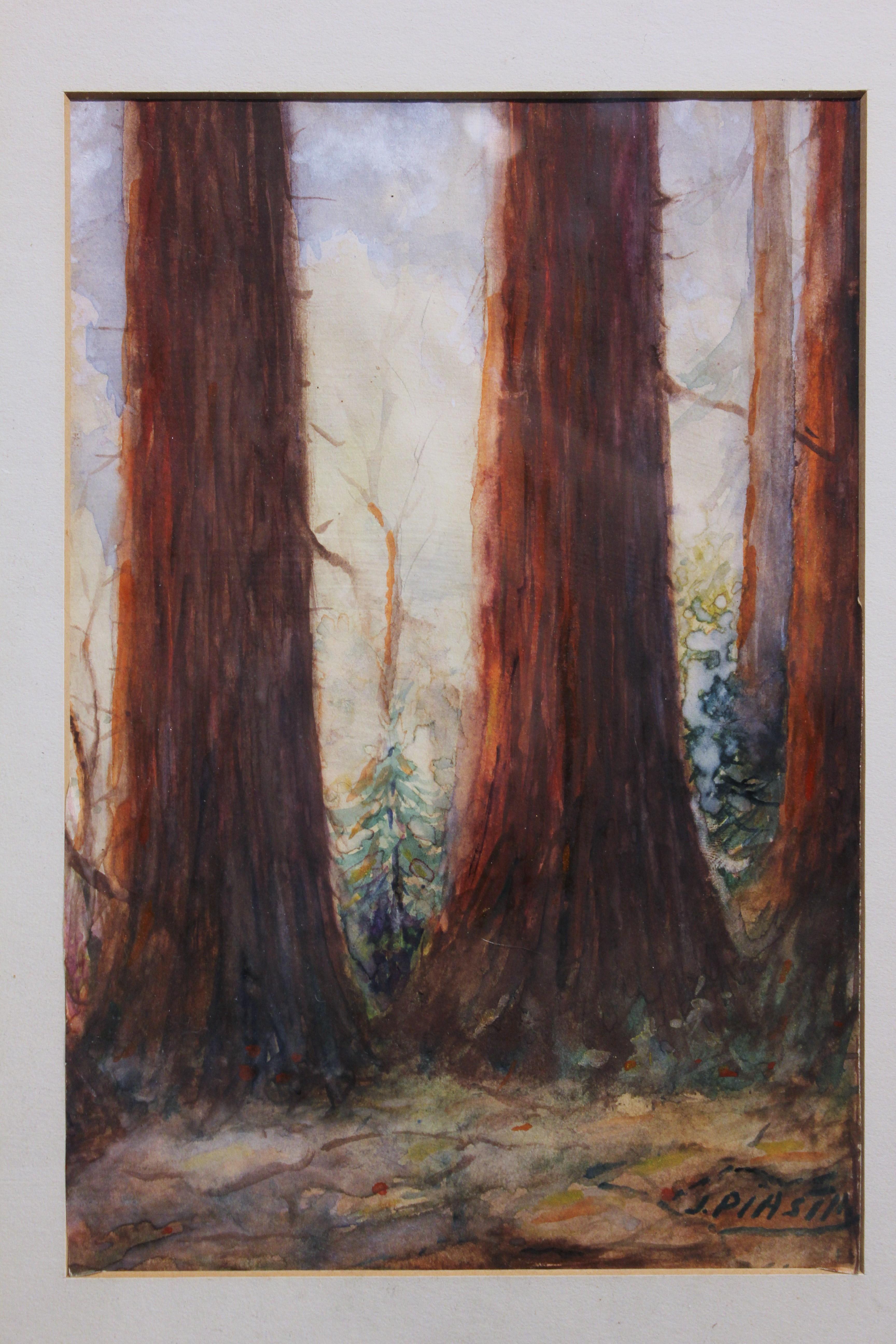 Frühes Aquarellgemälde des Redwood Forest in Kalifornien (Naturalismus), Art, von Unknown