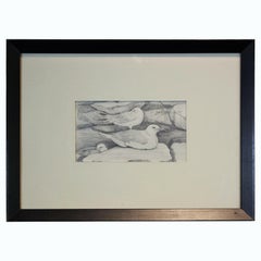 Vintage Pencil Study of Seagulls