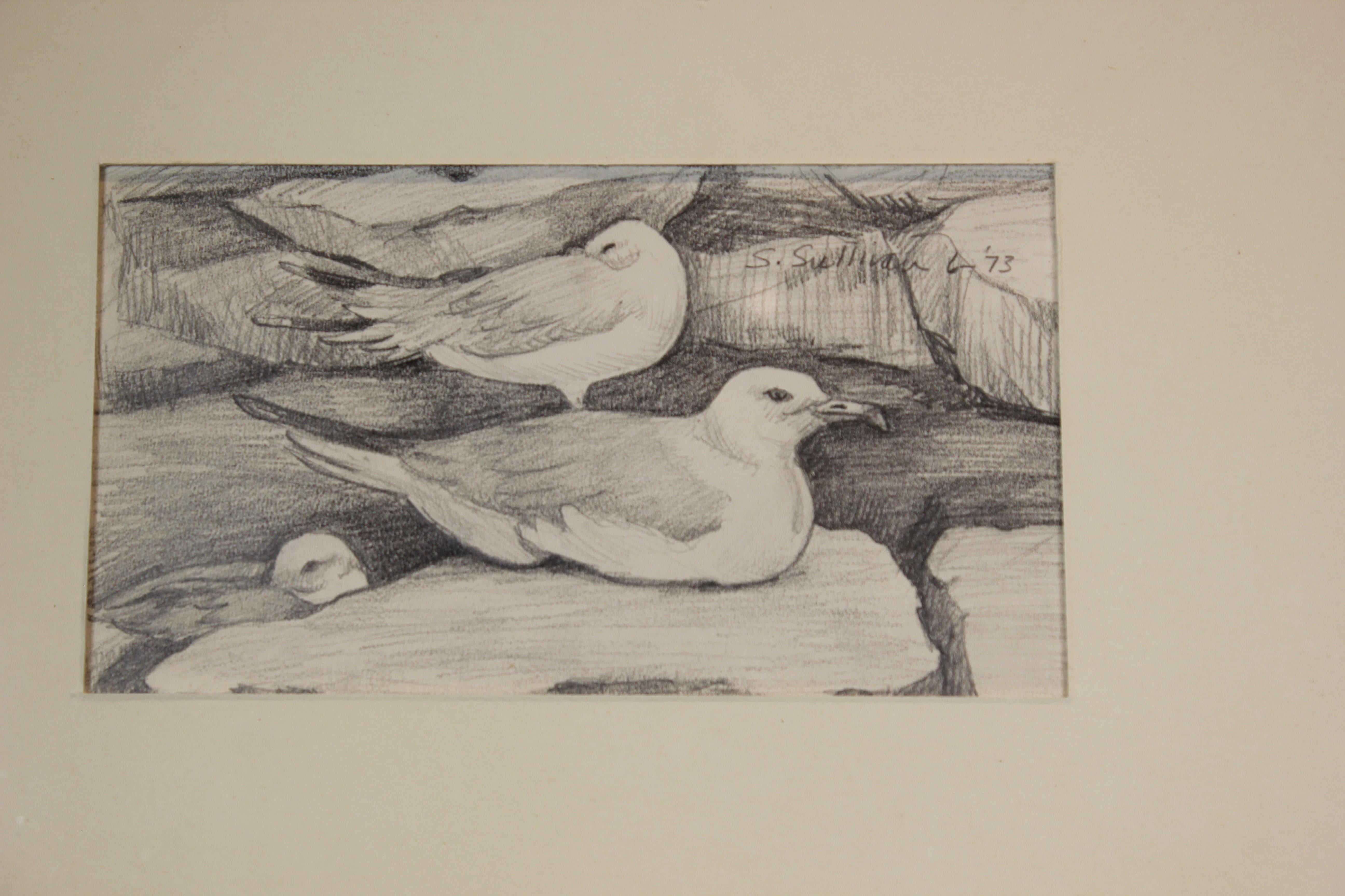 Pencil Study of Seagulls - Art by Stella Sullivan