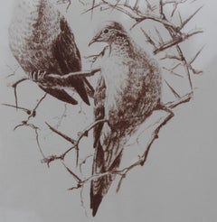 "Billin' and Cooin'" Naturalistic Dove Lithograph 59/ 95