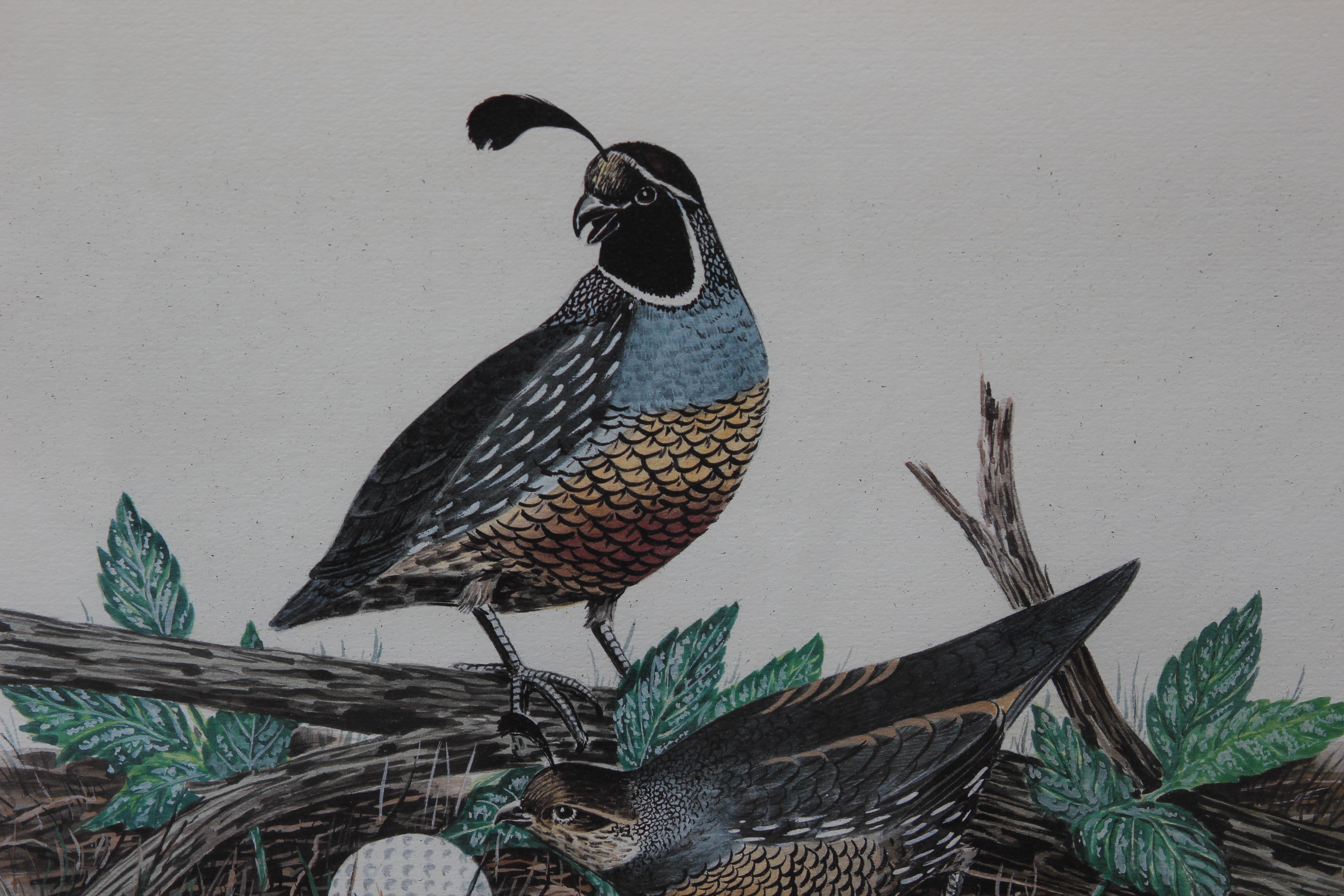 Naturalistic Quails with Golf Ball Lithograph 172 of 350 - Print by Jack Wall