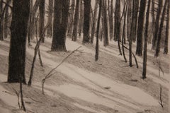 "Trees in Snow" Black and White Winter Landscape Lithograph 2/10