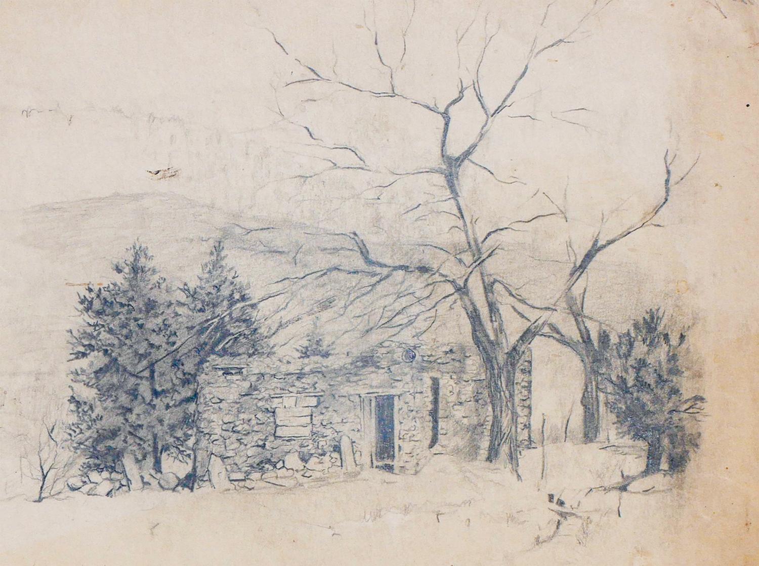 Dessin au crayon d'un paysage naturaliste monochrome du Nouveau-Mexique avec arbres en vente 3