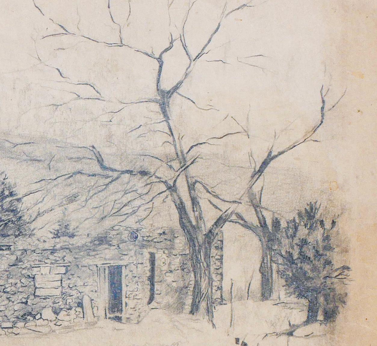 Dessin au crayon d'un paysage naturaliste monochrome du Nouveau-Mexique avec arbres en vente 4