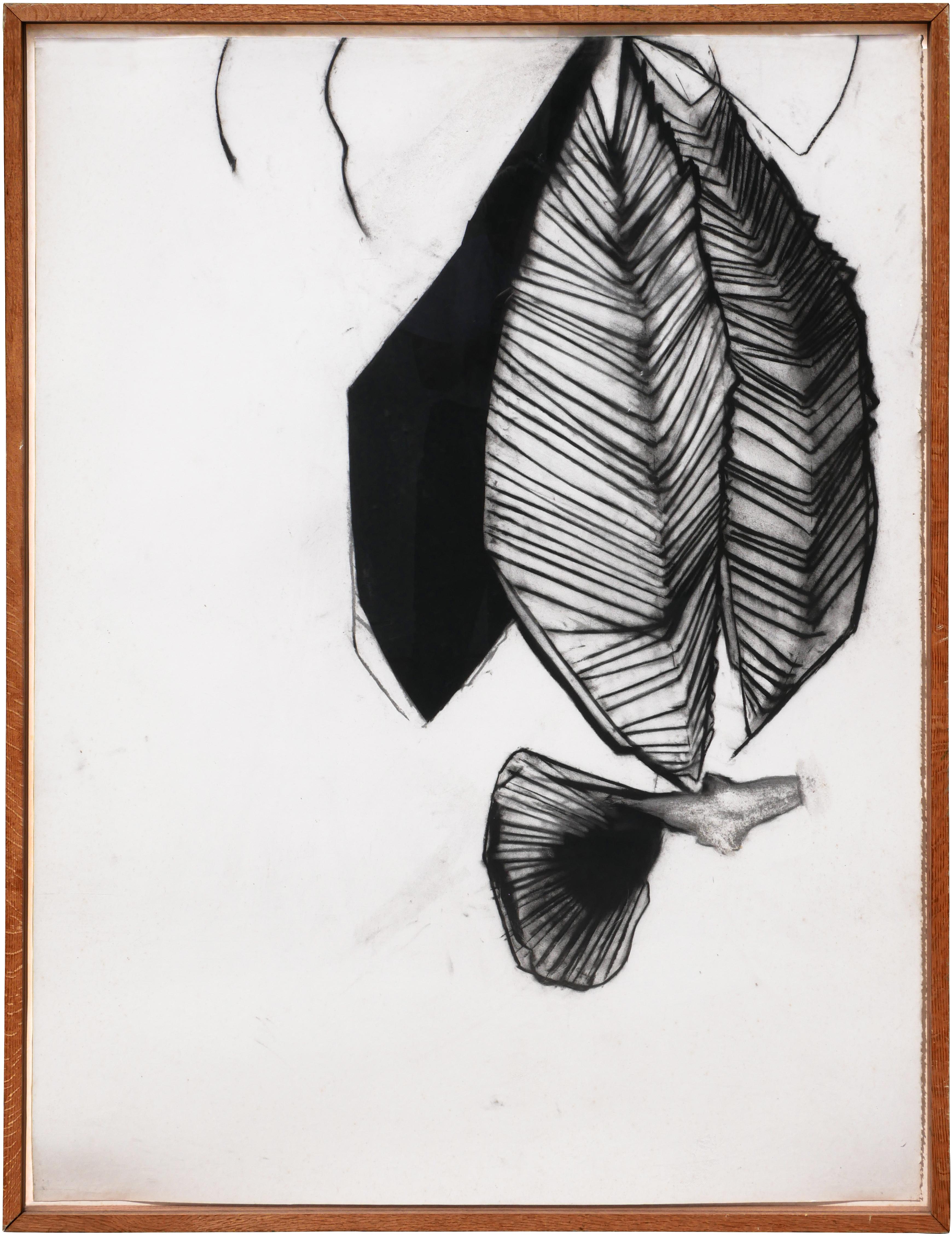 Paul Forsythe Abstract Drawing – „Fernando's Sleeve“ Schwarze und weiße abstrakte organische Zeichnung in Holzkohle