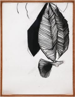 „Fernando's Sleeve“ Schwarze und weiße abstrakte organische Zeichnung in Holzkohle