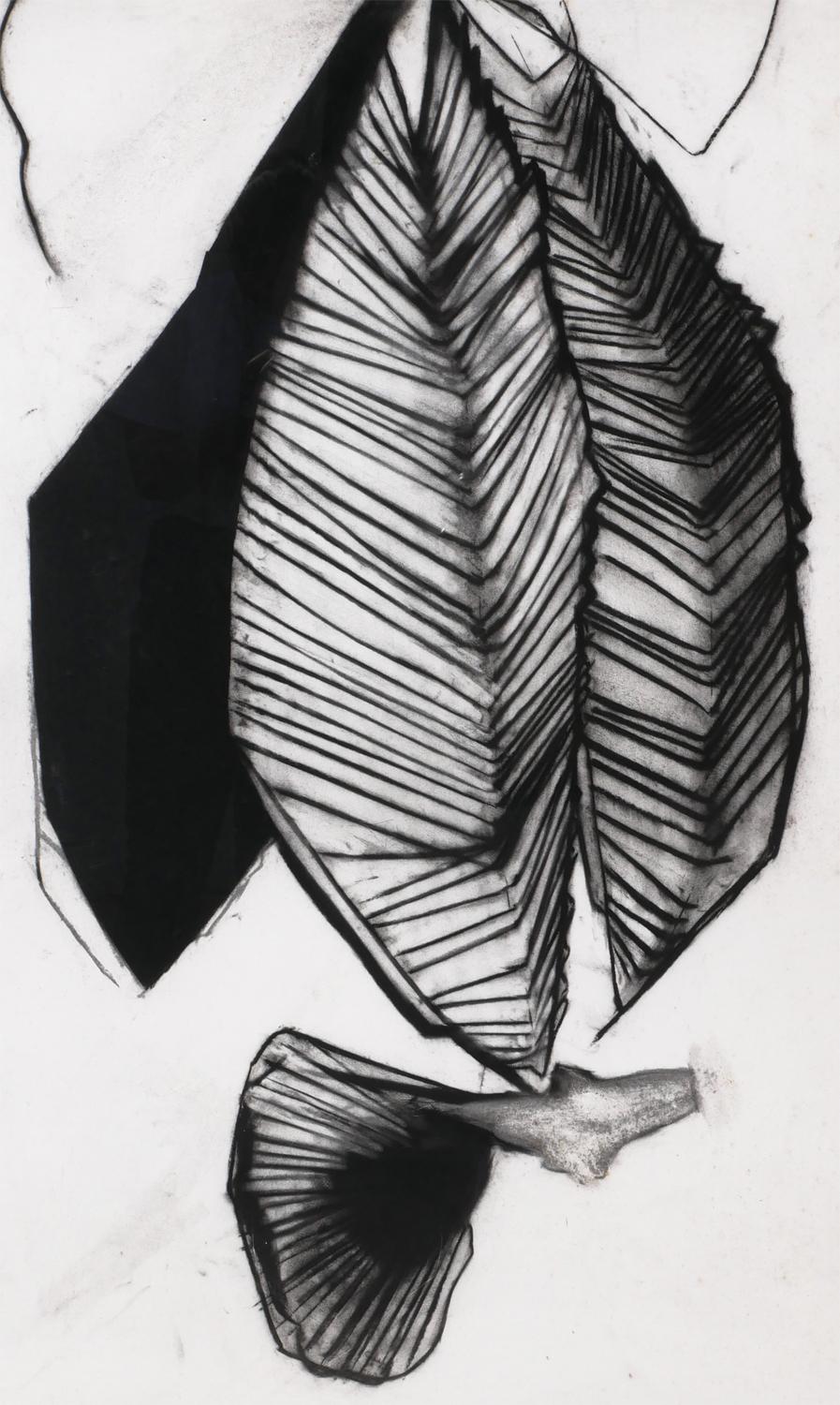 „Fernando's Sleeve“ Schwarze und weiße abstrakte organische Zeichnung in Holzkohle im Angebot 5