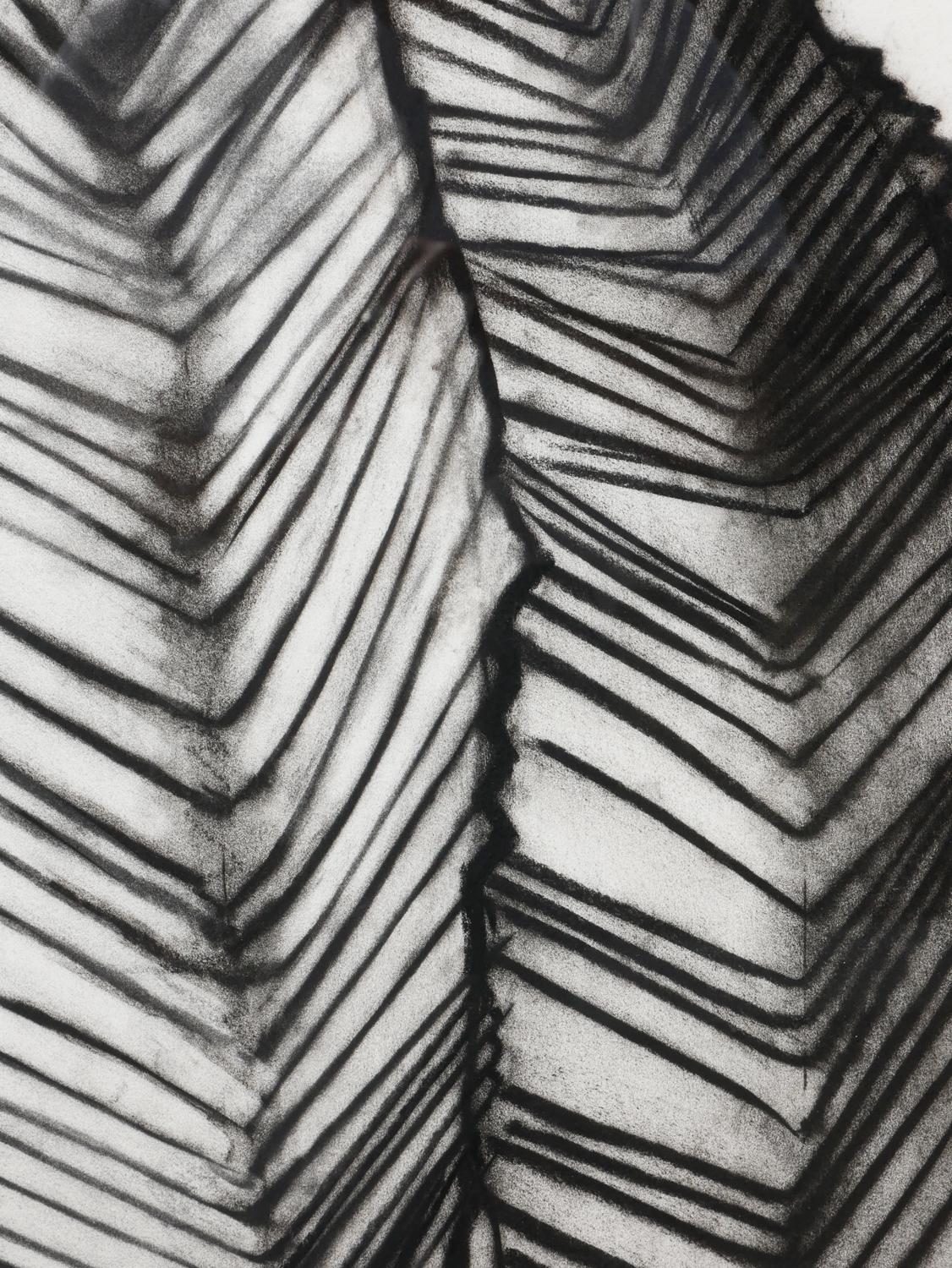 „Fernando's Sleeve“ Schwarze und weiße abstrakte organische Zeichnung in Holzkohle im Angebot 7