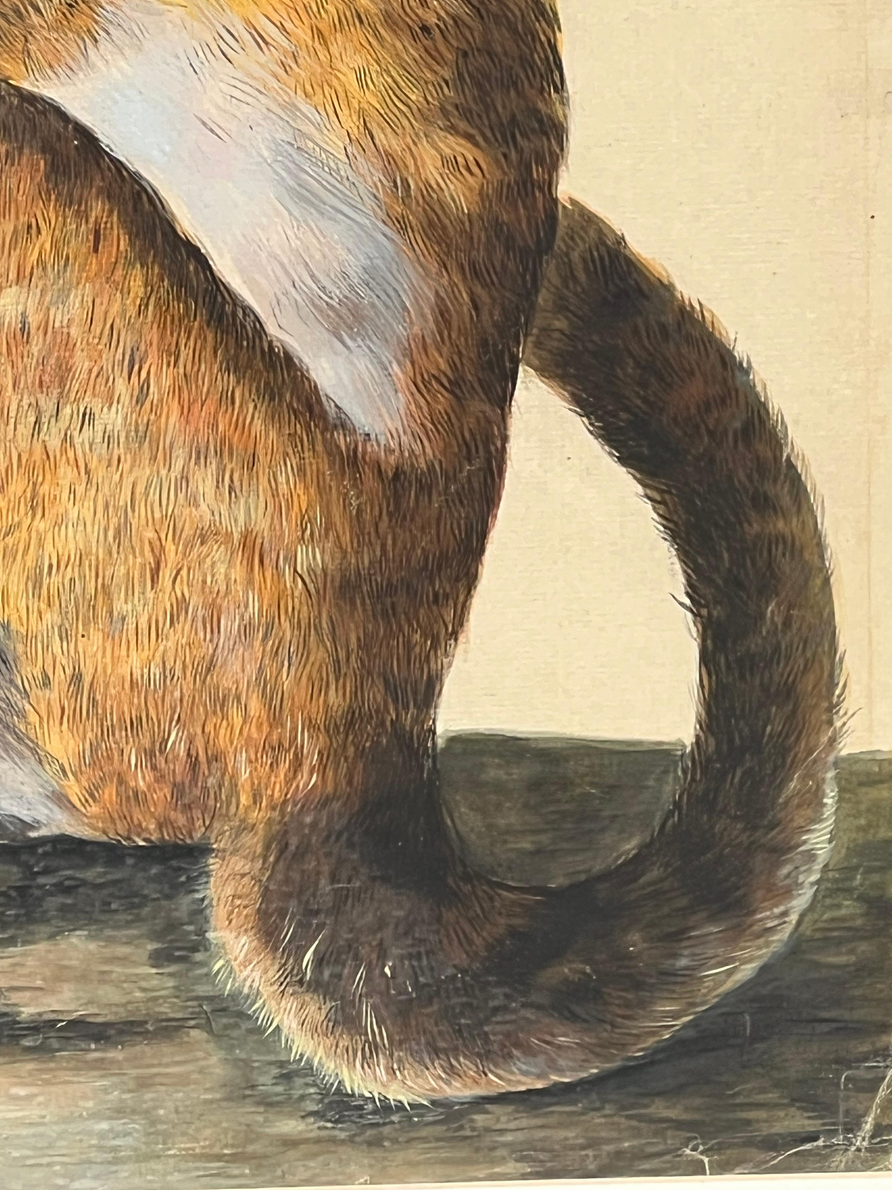 Early naturalistic wildlife rendering by the English artist Peter Paillou. The work features a delicately rendered depiction of a possible capuchin monkey from an 18th century specimen. Currently hung in a wooden, bamboo style frame with a cream