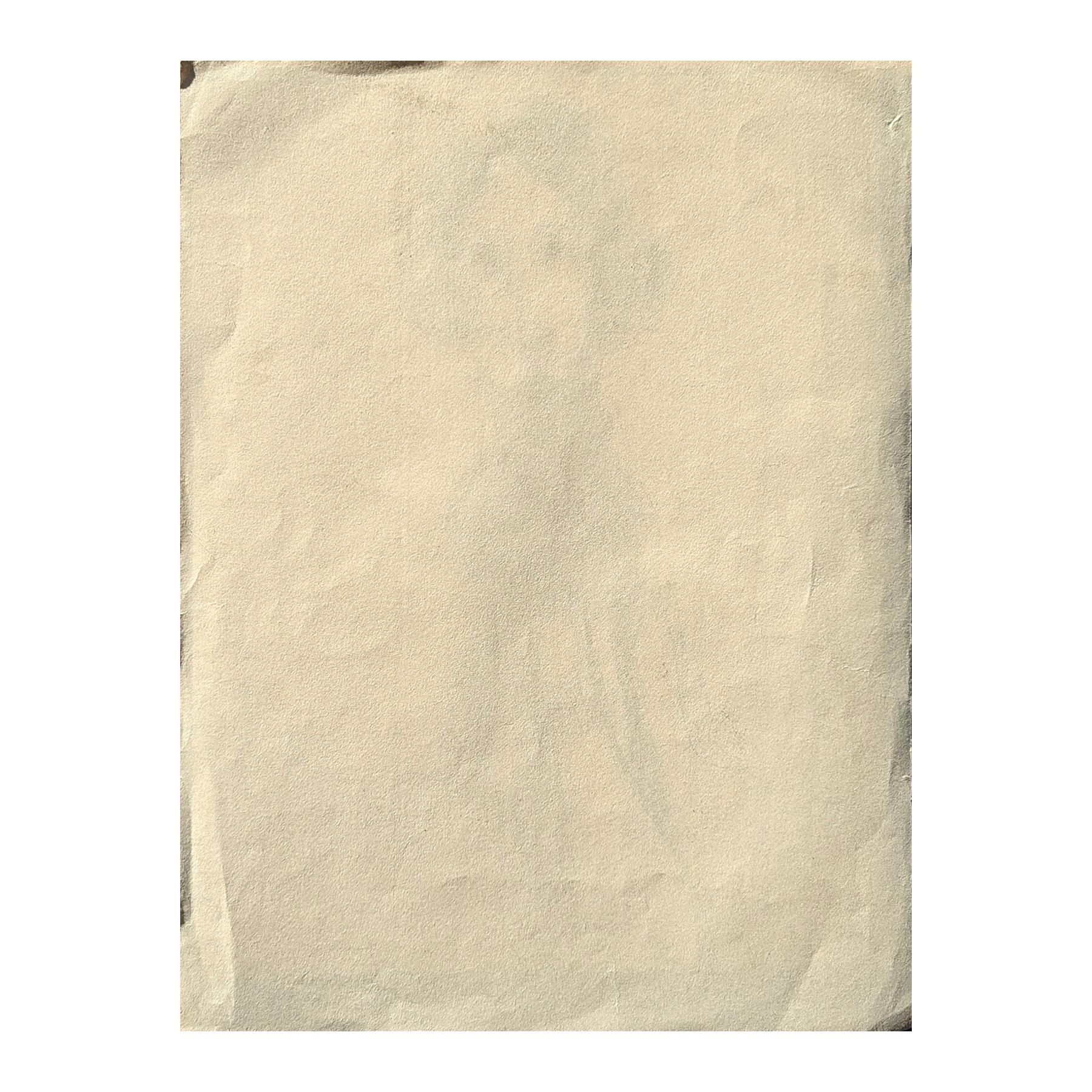 Early Modern Black and White Figurative Pen Drawing Study of a Bearded Gentleman For Sale 6