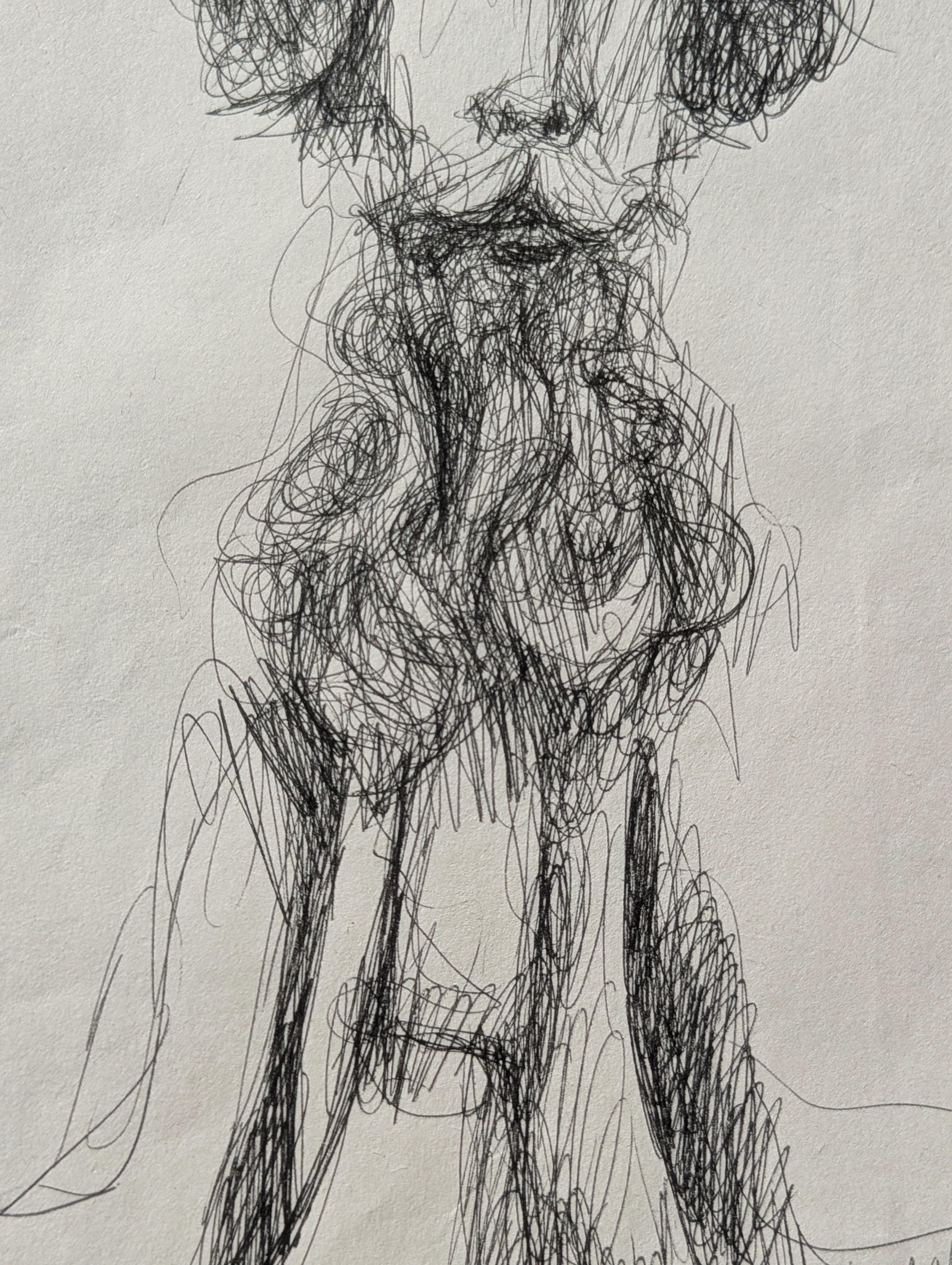 Early Modern Black and White Figurative Pen Drawing Study of a Bearded Gentleman For Sale 4