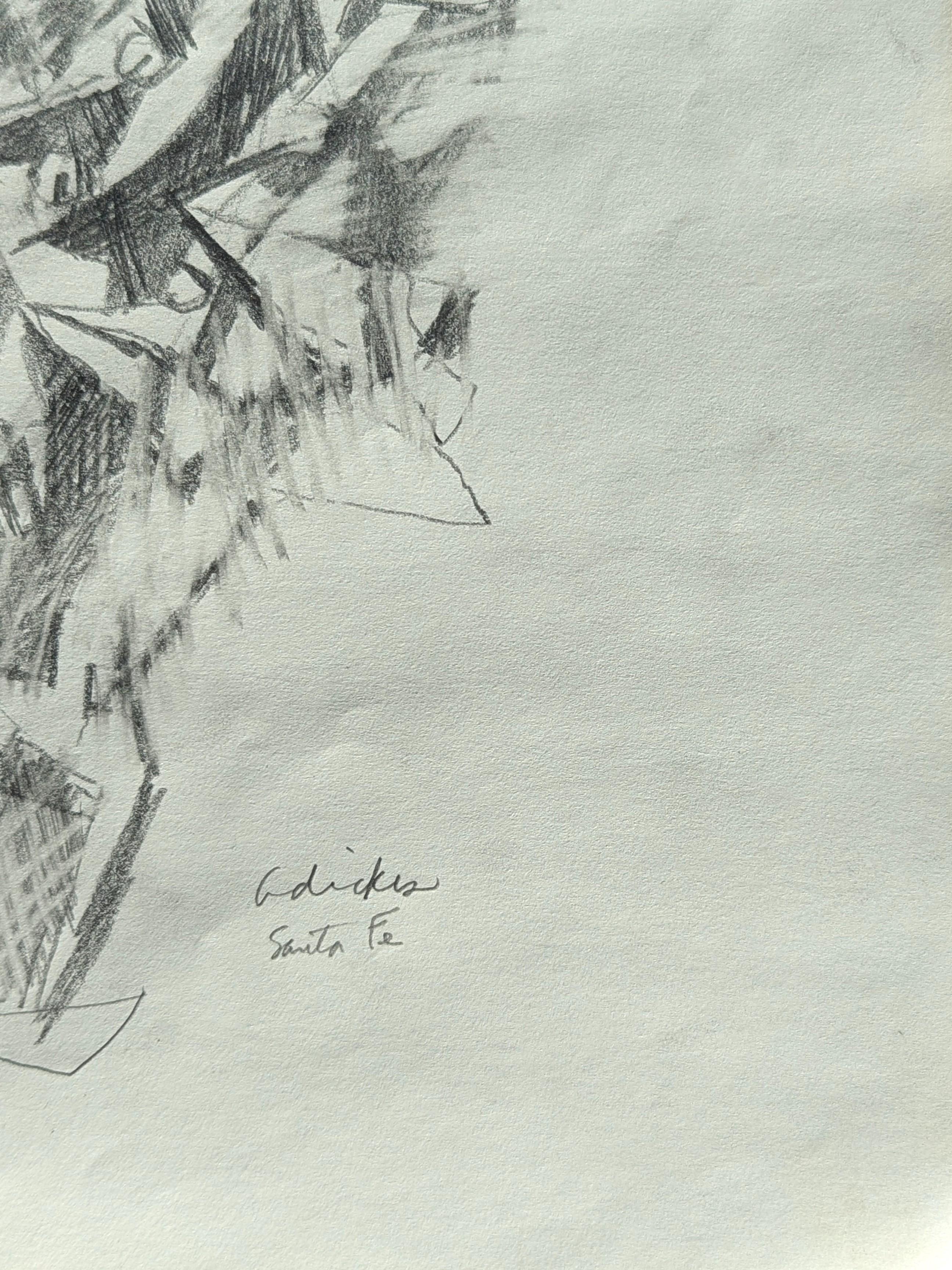 Schizzo in bianco e nero dei primi tempi dell'artista David Adickes, icona di Houston. Questo lavoro, tratto da una collezione di quaderni di schizzi non ancora scoperti, rappresenta una panoramica della sua prolifica carriera. L'opera presenta una