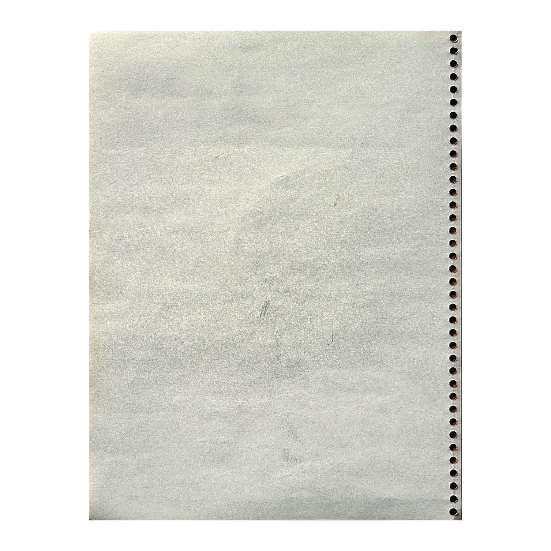 Disegno figurativo astratto moderno di ispirazione Santa Fe, New Mexico, in bianco e nero in vendita 6