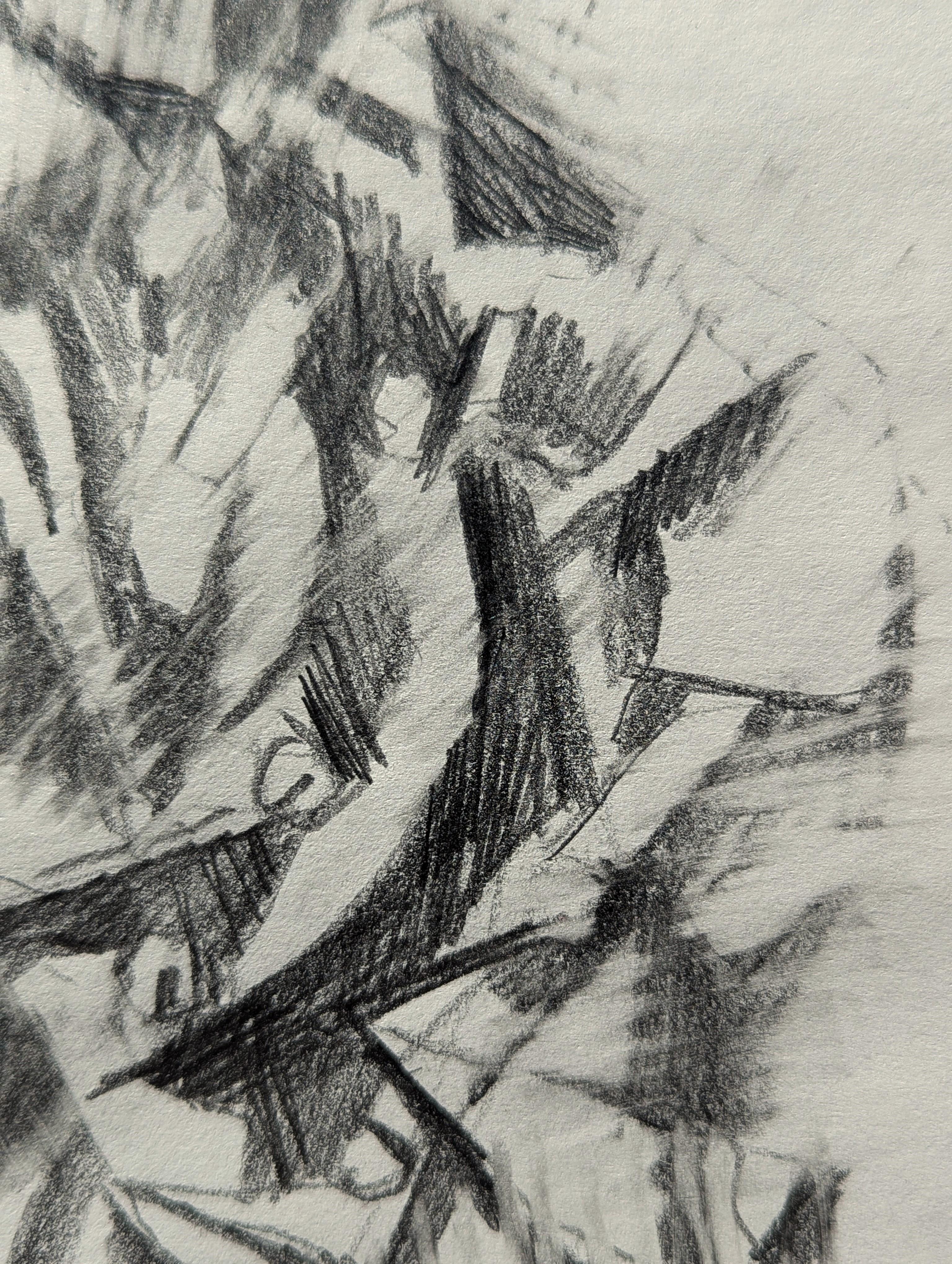 Disegno figurativo astratto moderno di ispirazione Santa Fe, New Mexico, in bianco e nero in vendita 3