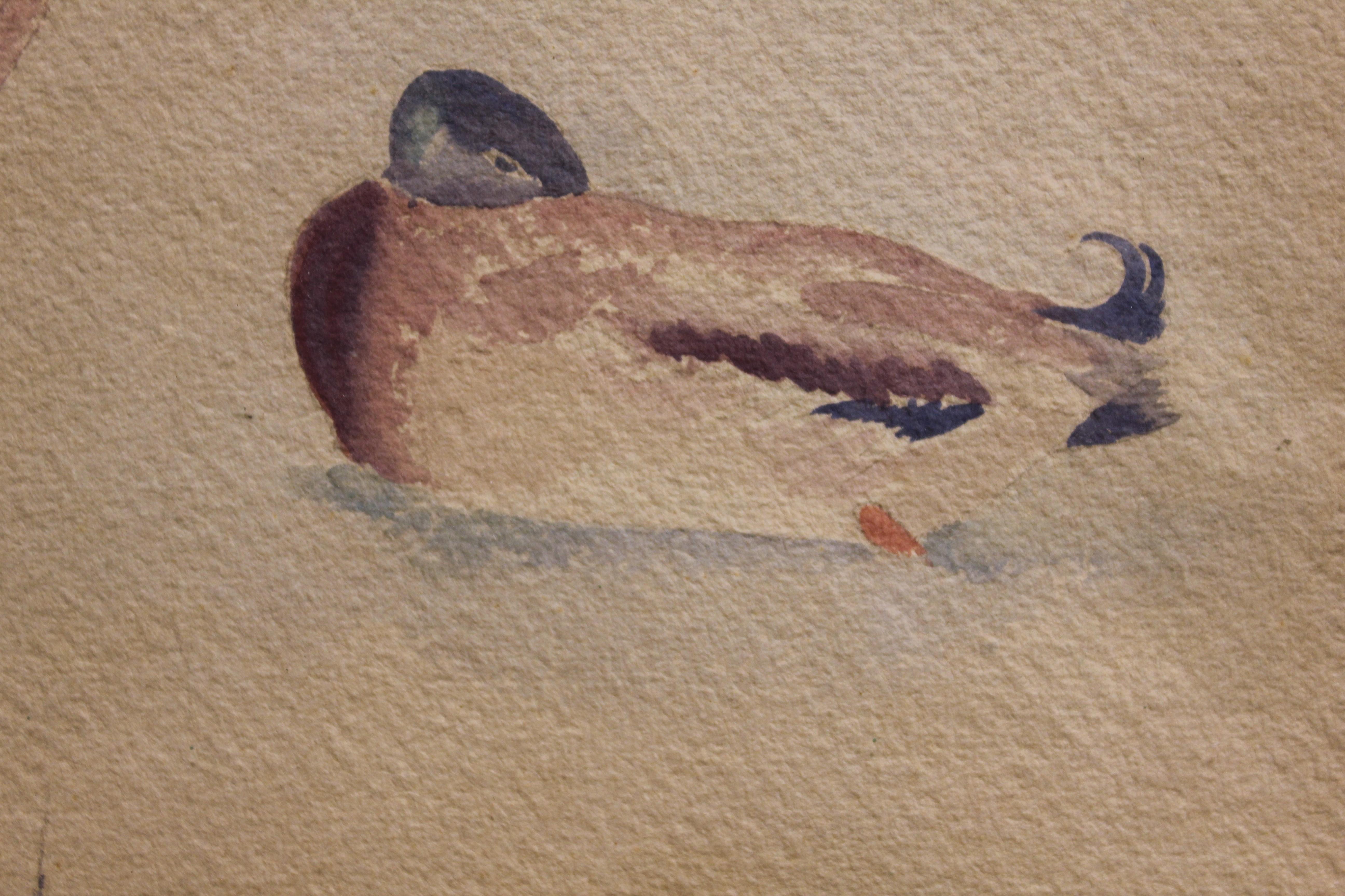 watercolor ducks
