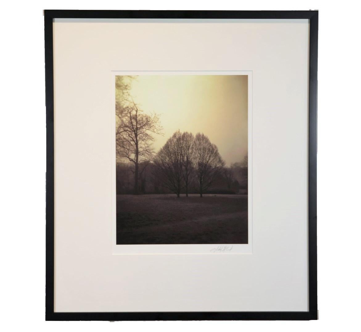 Michael Hart Landscape Photograph – Landschaftsfotografie mit Bäumen