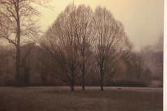 Photographie - Paysage avec arbres