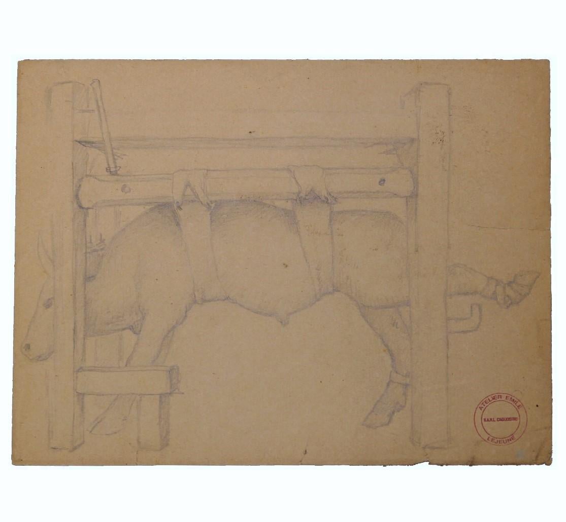 Studio naturalistico a matita di una mucca