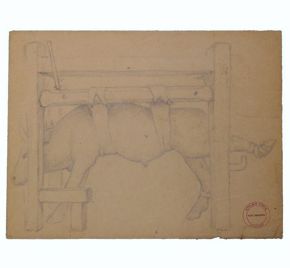 Naturalistic Pencil Study of A Cow