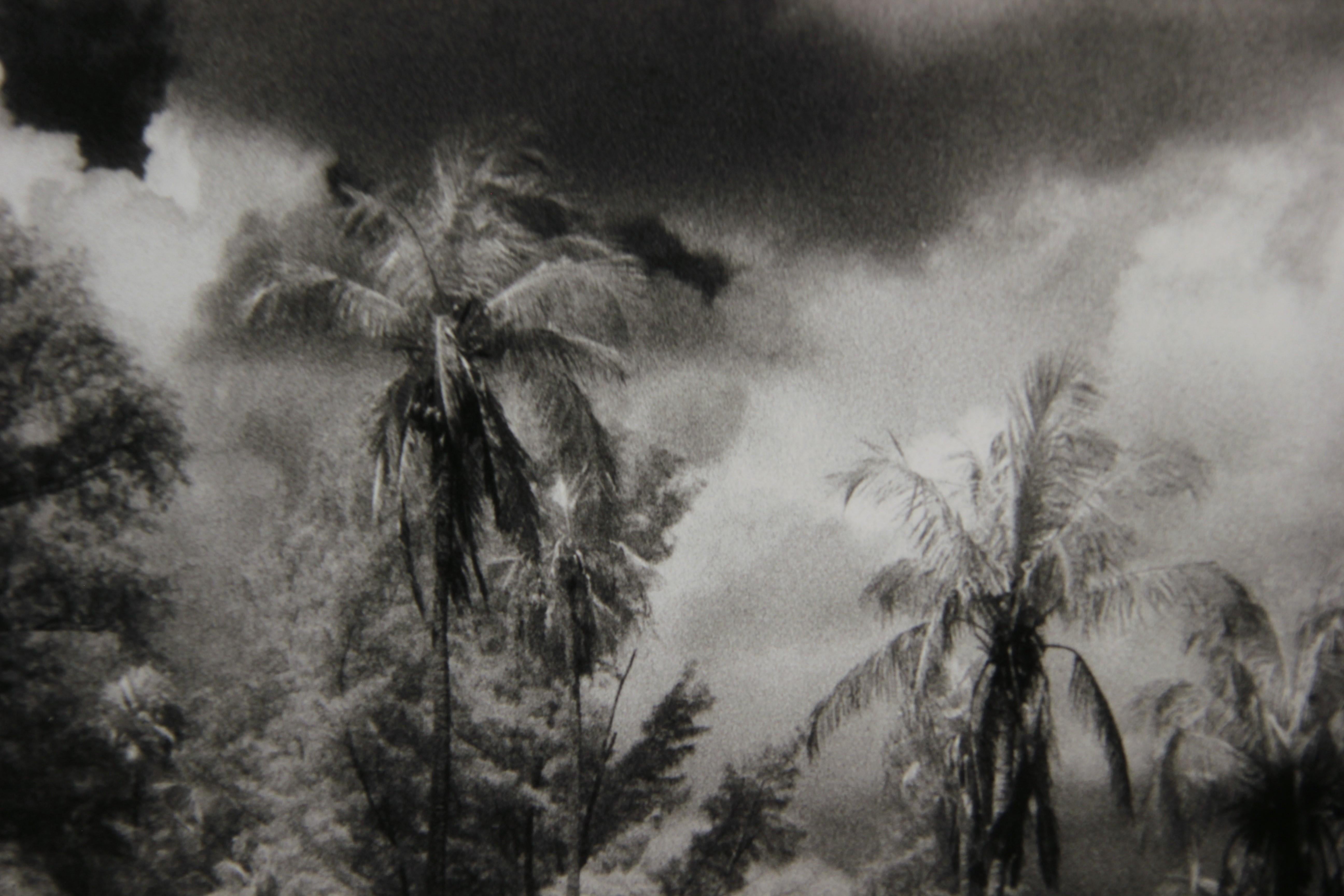 This black and white photo shows an island with palm trees and a cloudy sky. The photograph was developed using the Sabattier process. The photograph is not framed. 

Artist Biography: Pat Truax is a Texas based fine art photograph best known for