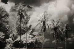 "Scena sulla spiaggia" Fotografia di paesaggio in bianco e nero