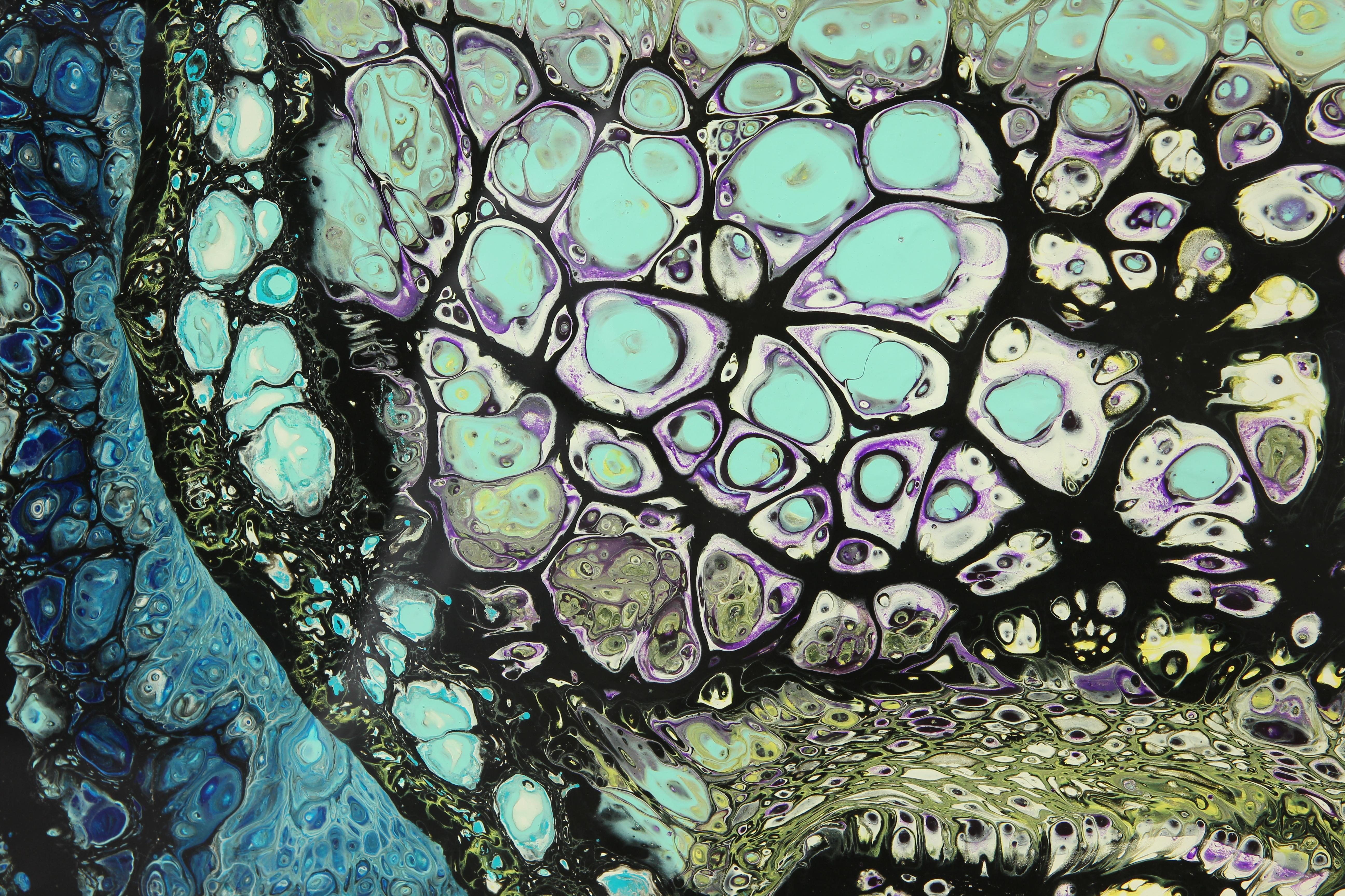 Pittura fluida astratta colorata in acrilico che incorpora sfumature di nero, verde acqua e verde. Firmato e datato dall'artista sul lato del pezzo.

Biografia dell'artista: 