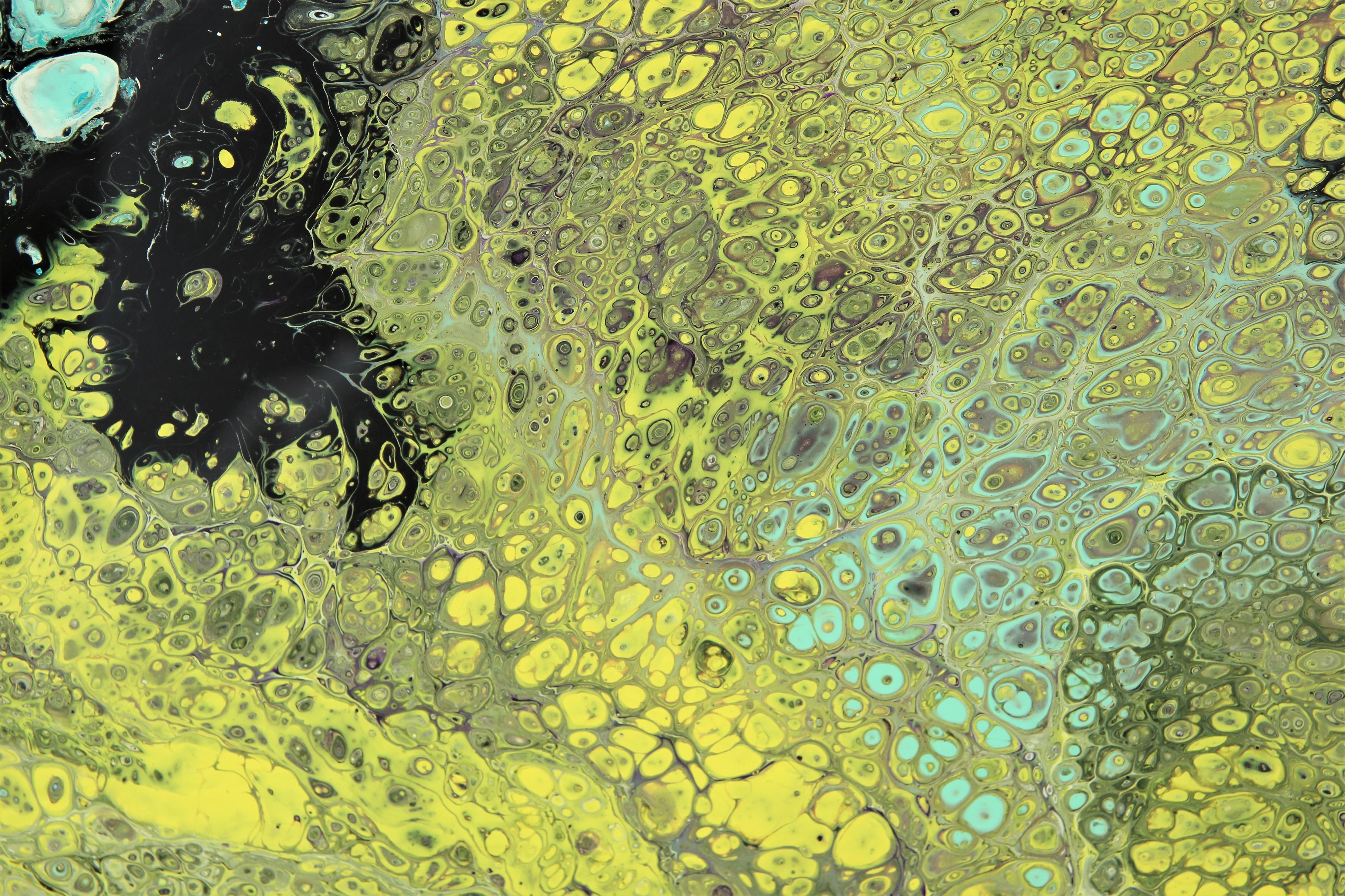 Buntes abstraktes zeitgenössisches fließendes Gemälde aus Acryl in Grün, Schwarz und Blau im Angebot 4