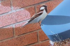 Modern Realist Still Life Painting of Birds Nesting on Blue Sign Letters