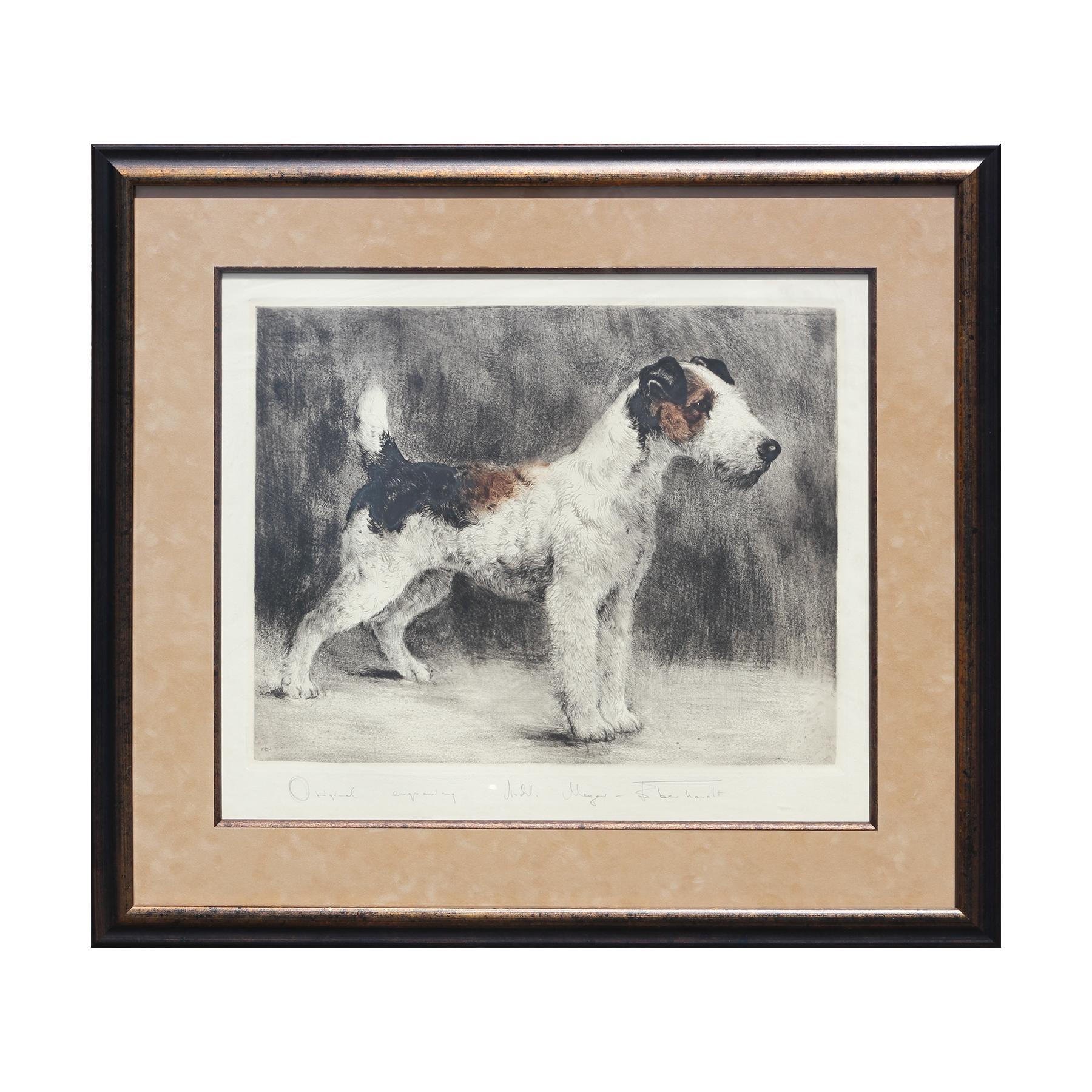 Kurt Meyer-Eberhardt  Animal Art - Original Early 20th Century Color Etching of Wire Fox Terrier
