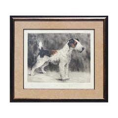 Antique Original Early 20th Century Color Etching of Wire Fox Terrier