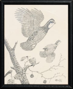 Naturalistic Pen and Ink Drawing of a Pair of Quail Birds in Flight
