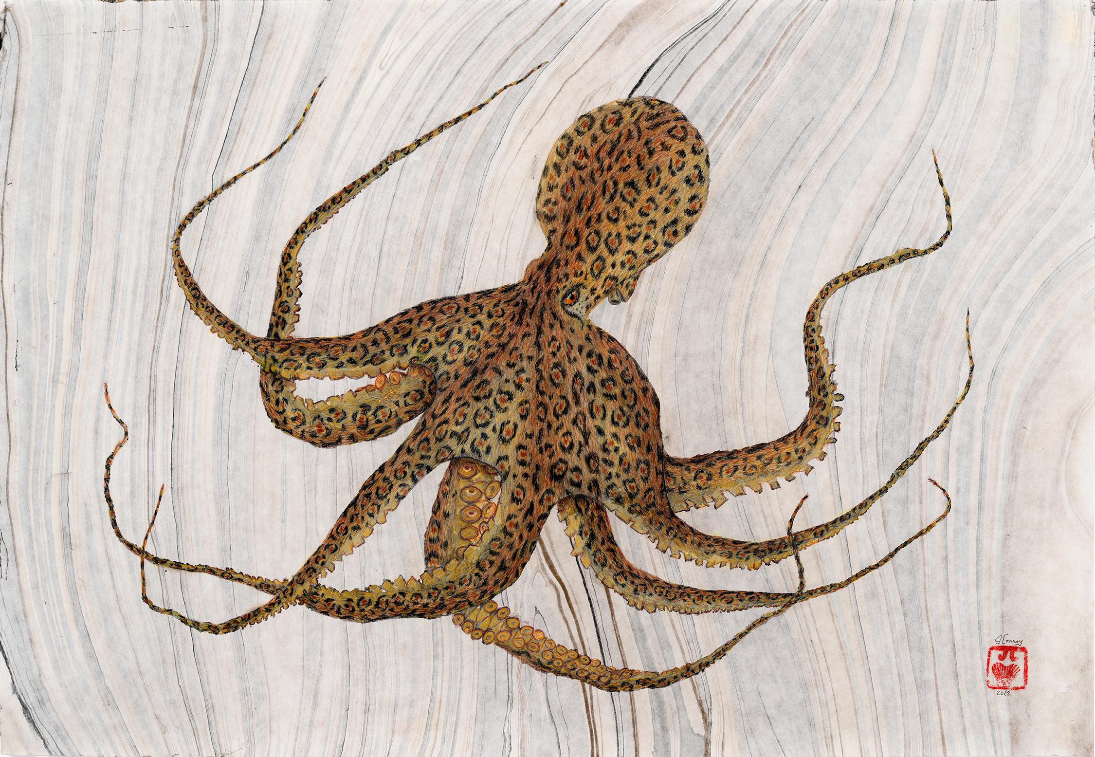 Cheetahpus - Gyotaku Style Japanese Sumi Ink Painting, Cheetah Patterned Octopus