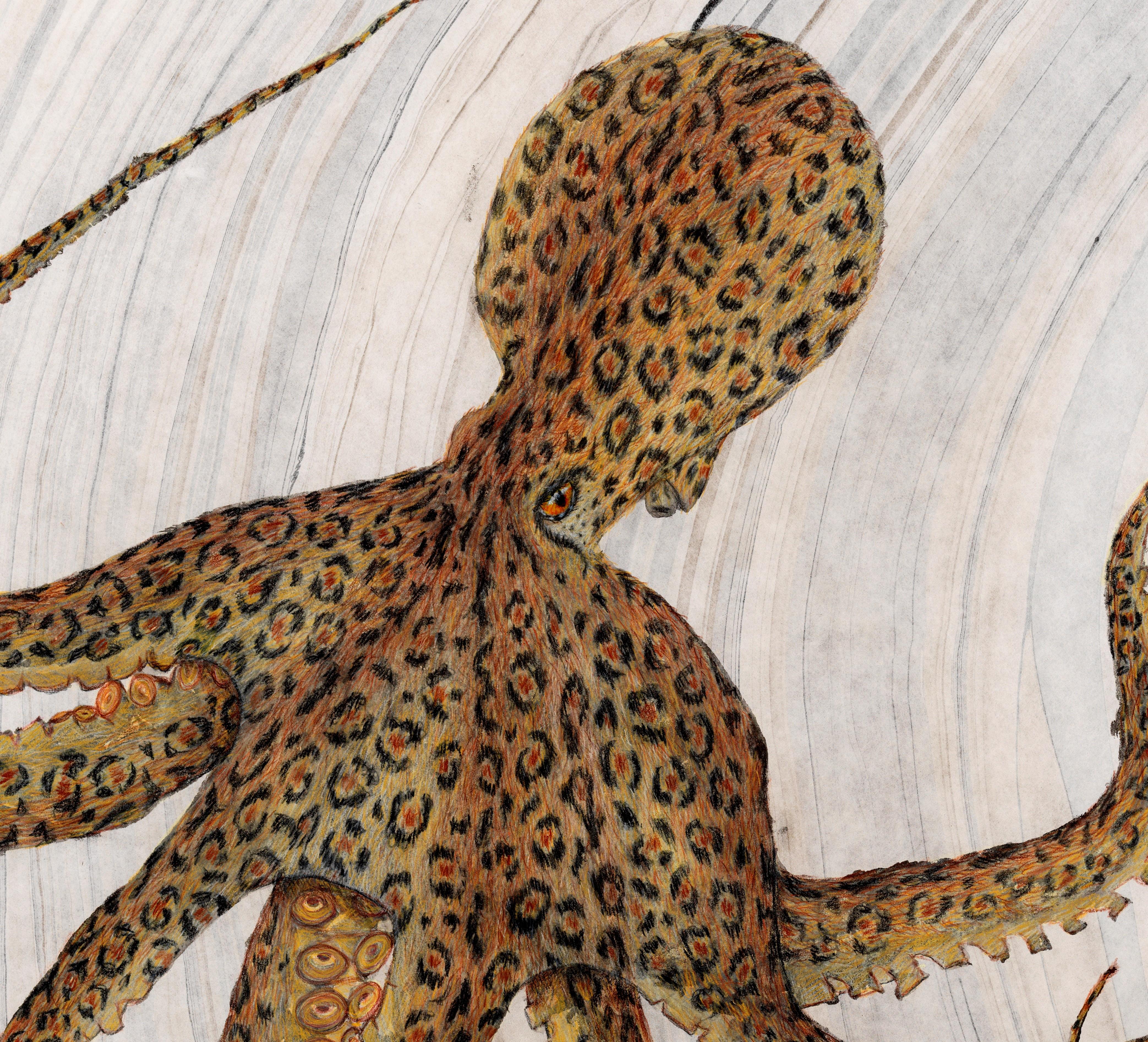 Cheetahpus - Gyotaku Style Japanese Sumi Ink Painting, Cheetah Patterned Octopus - Art by Jeff Conroy