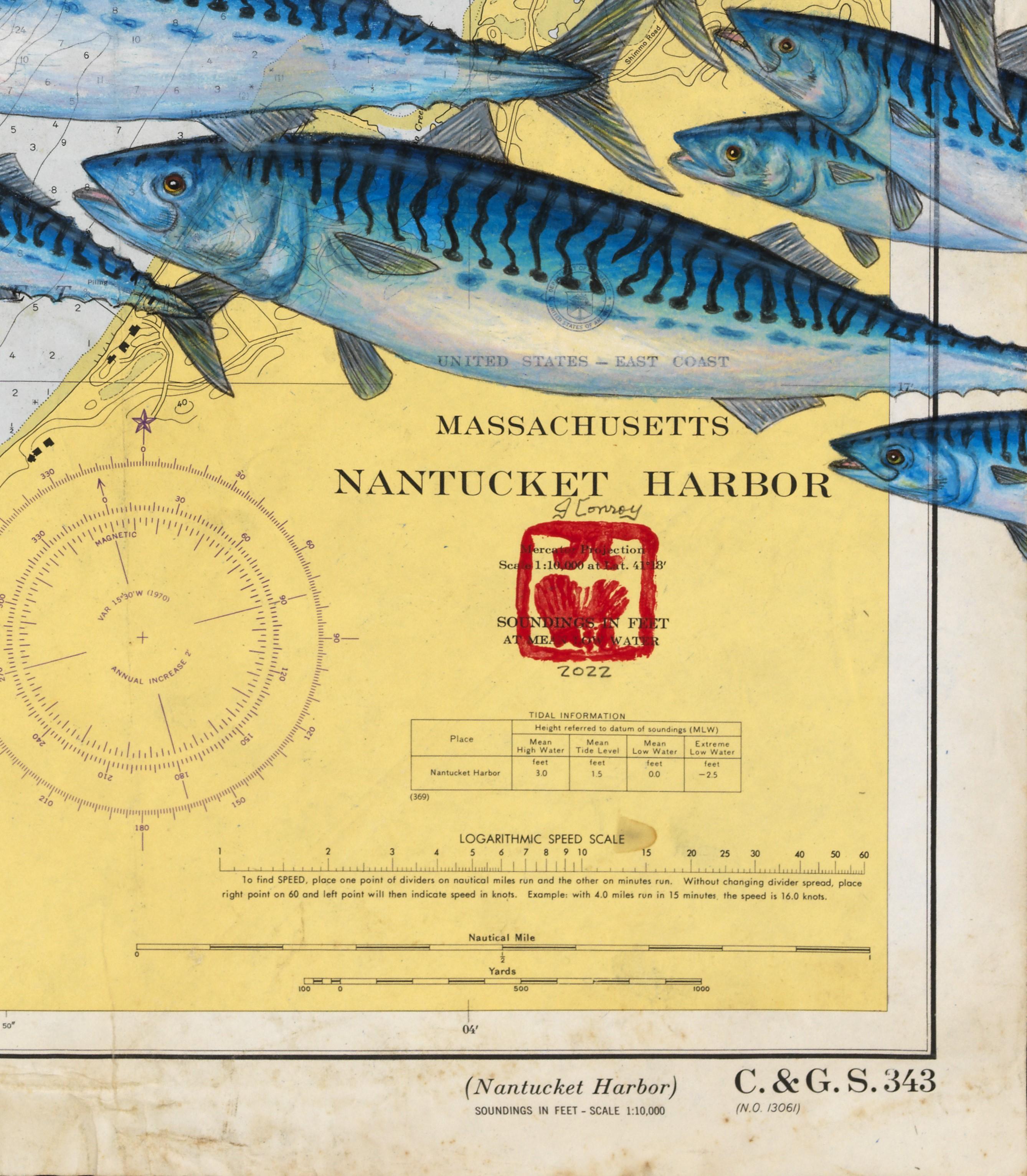 Sac à maquereaux de Nantucket - Une foule de maquereaux sur une carte nautique vintage en vente 1