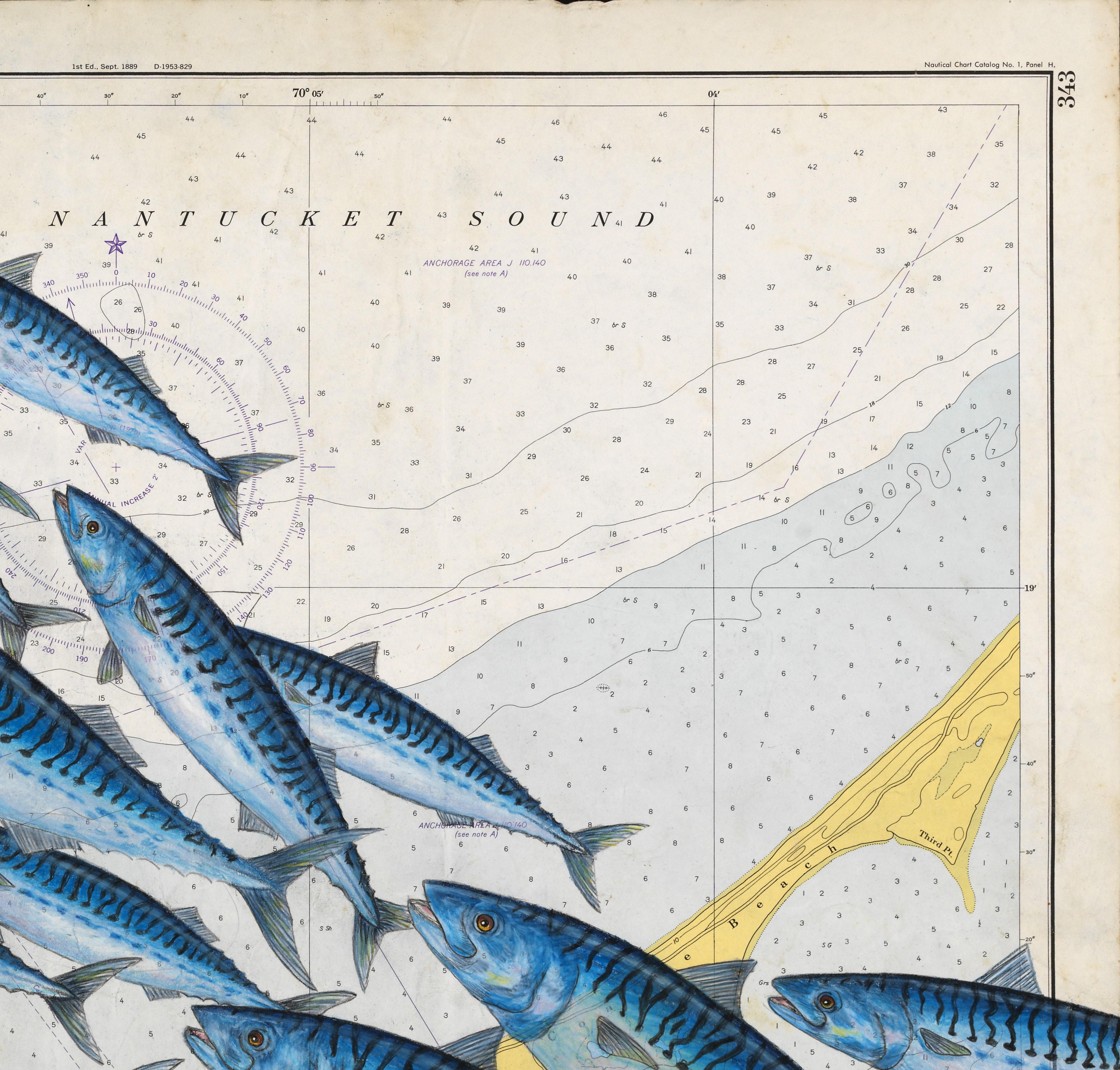 mackerel map