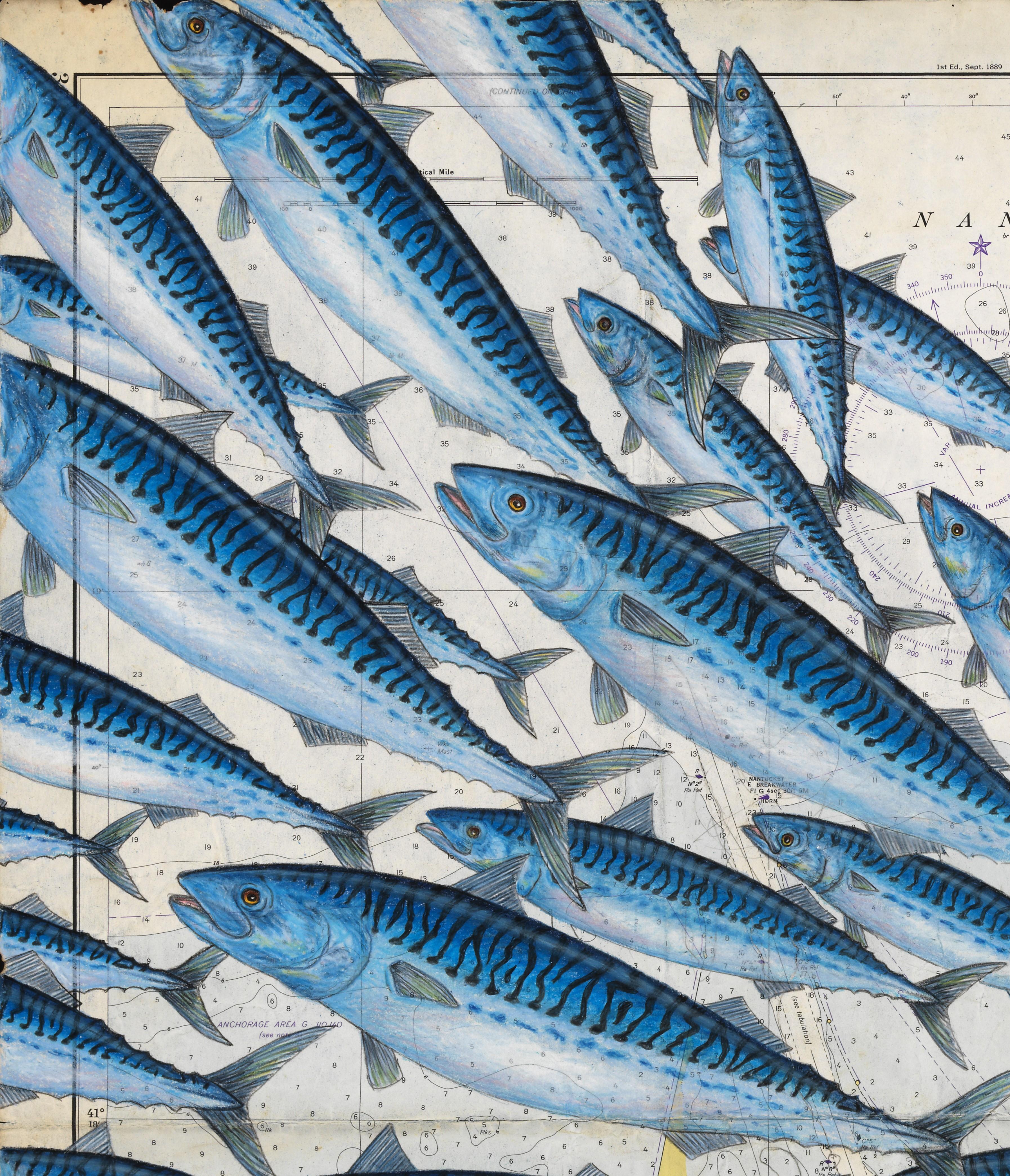 Nantucket Mack Pack - A Gathering of Mackerel on a Vintage Nautical Map - Painting by Jeff Conroy