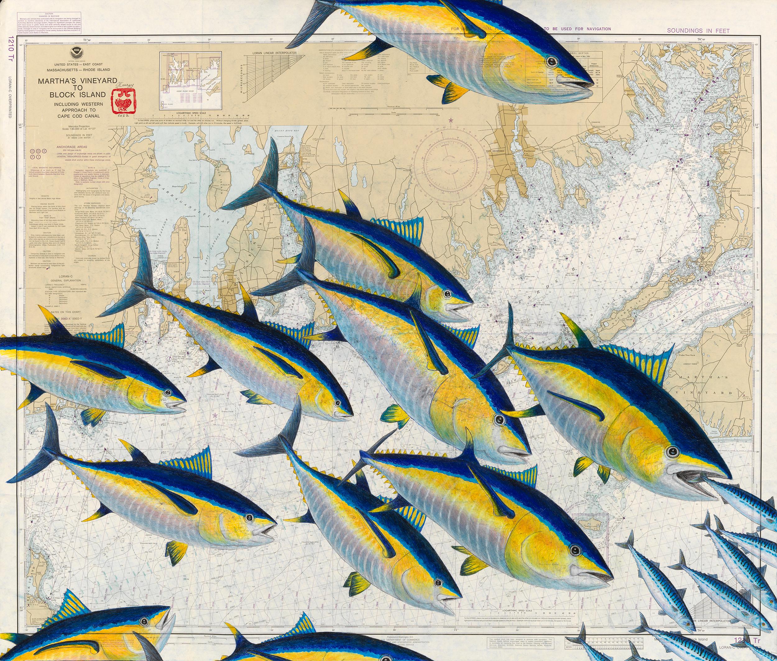 Jeff Conroy Animal Art - Martha's Vineyard to Block Island, Big Tuna - Painting on a Vintage Nautical Map
