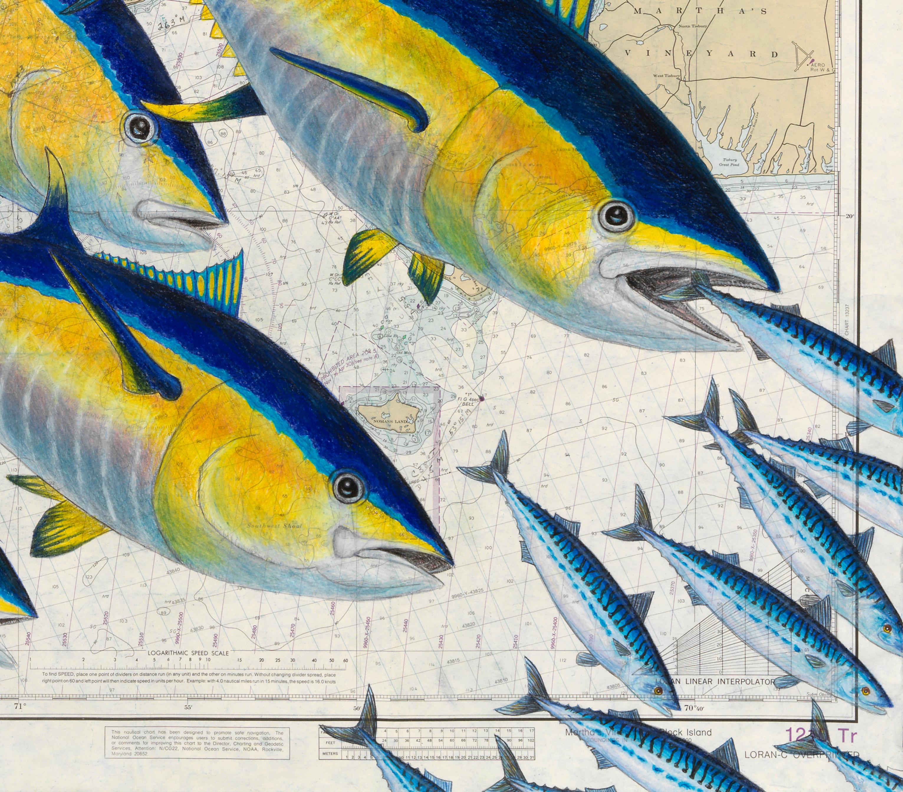 A school of tuna swim across the water trying to catch their dinner - the mackerel in the lower right corner.  This game of cat and mouse is played out on a vintage nautical map of the coast of Rhode Island from Martha's Vineyard to Block Island.