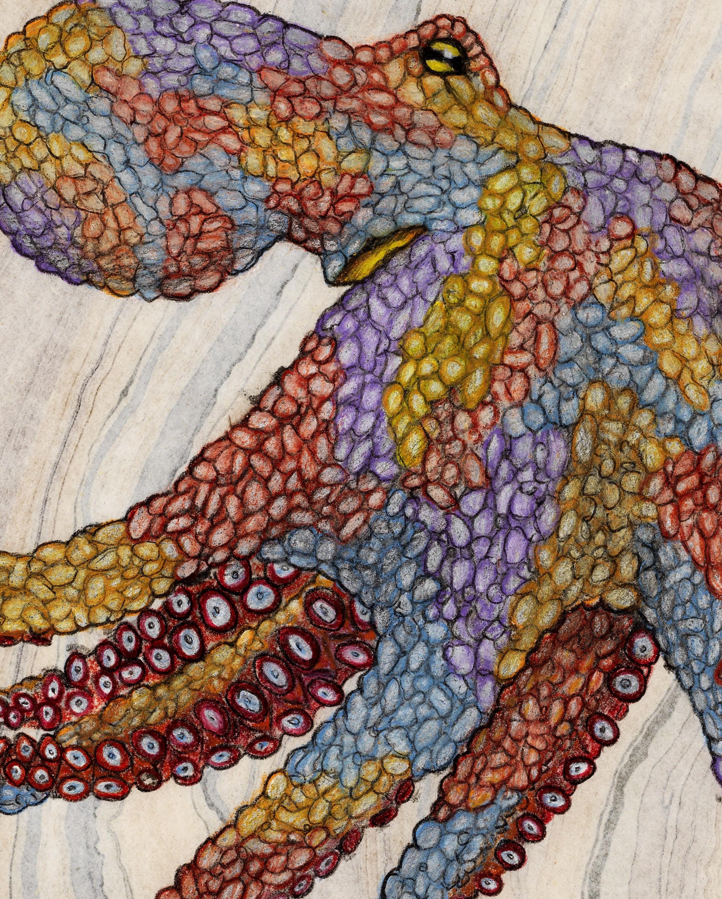 colorful octopus painting